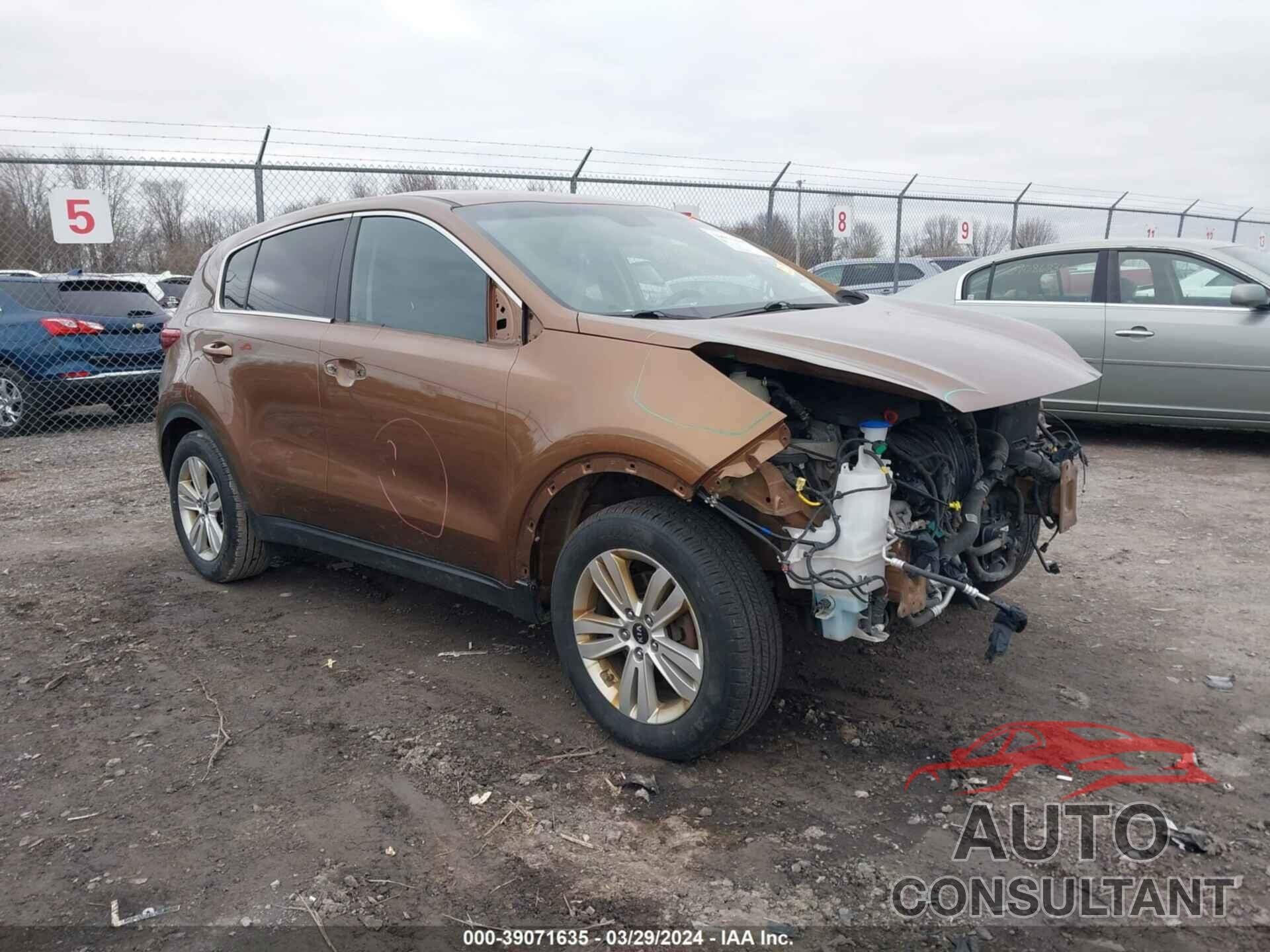 KIA SPORTAGE 2017 - KNDPM3AC6H7209422