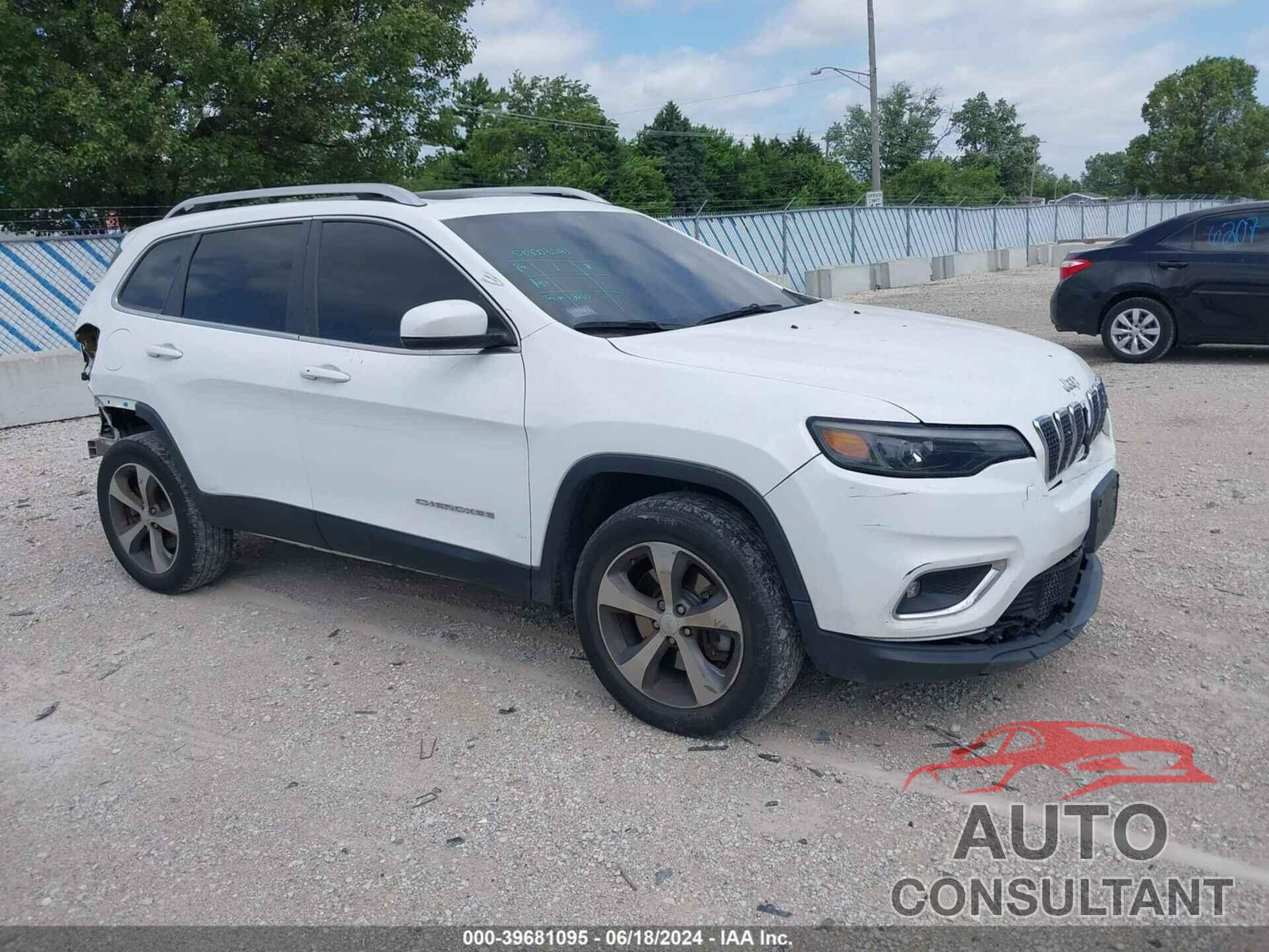 JEEP CHEROKEE 2019 - 1C4PJMDN7KD123802