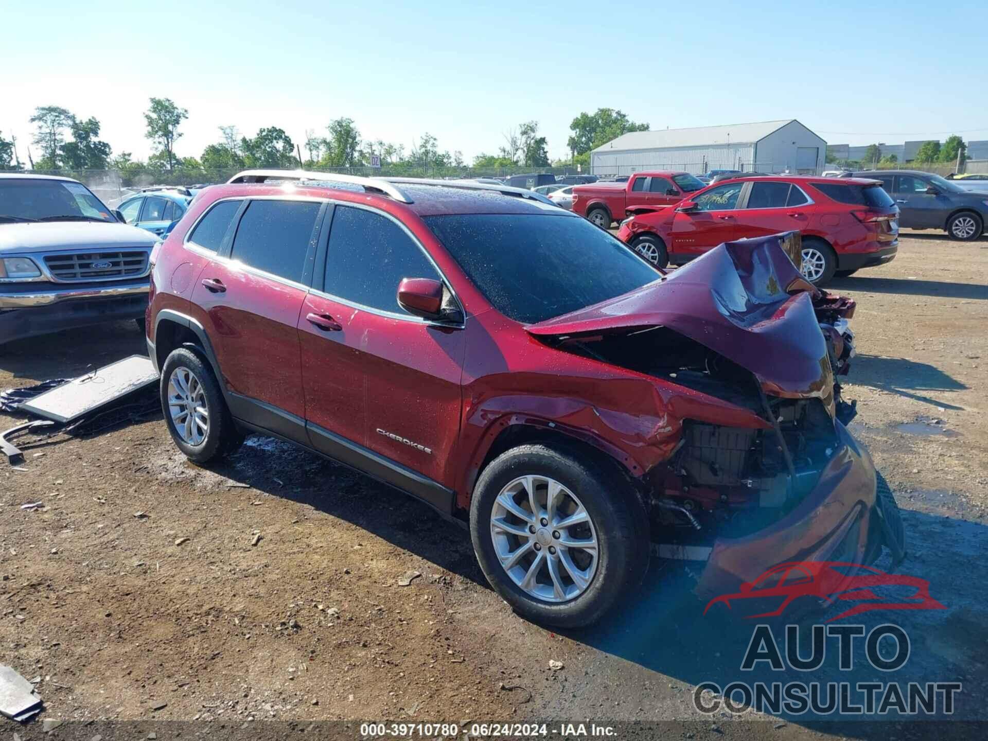 JEEP CHEROKEE 2019 - 1C4PJLCB2KD406402