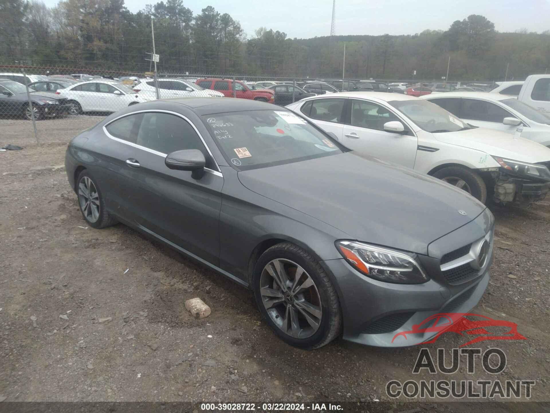 MERCEDES-BENZ C 300 2019 - WDDWJ8DB1KF896638