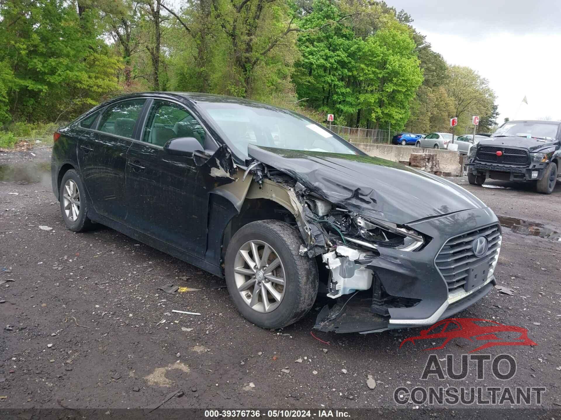 HYUNDAI SONATA 2019 - 5NPE24AF8KH780393