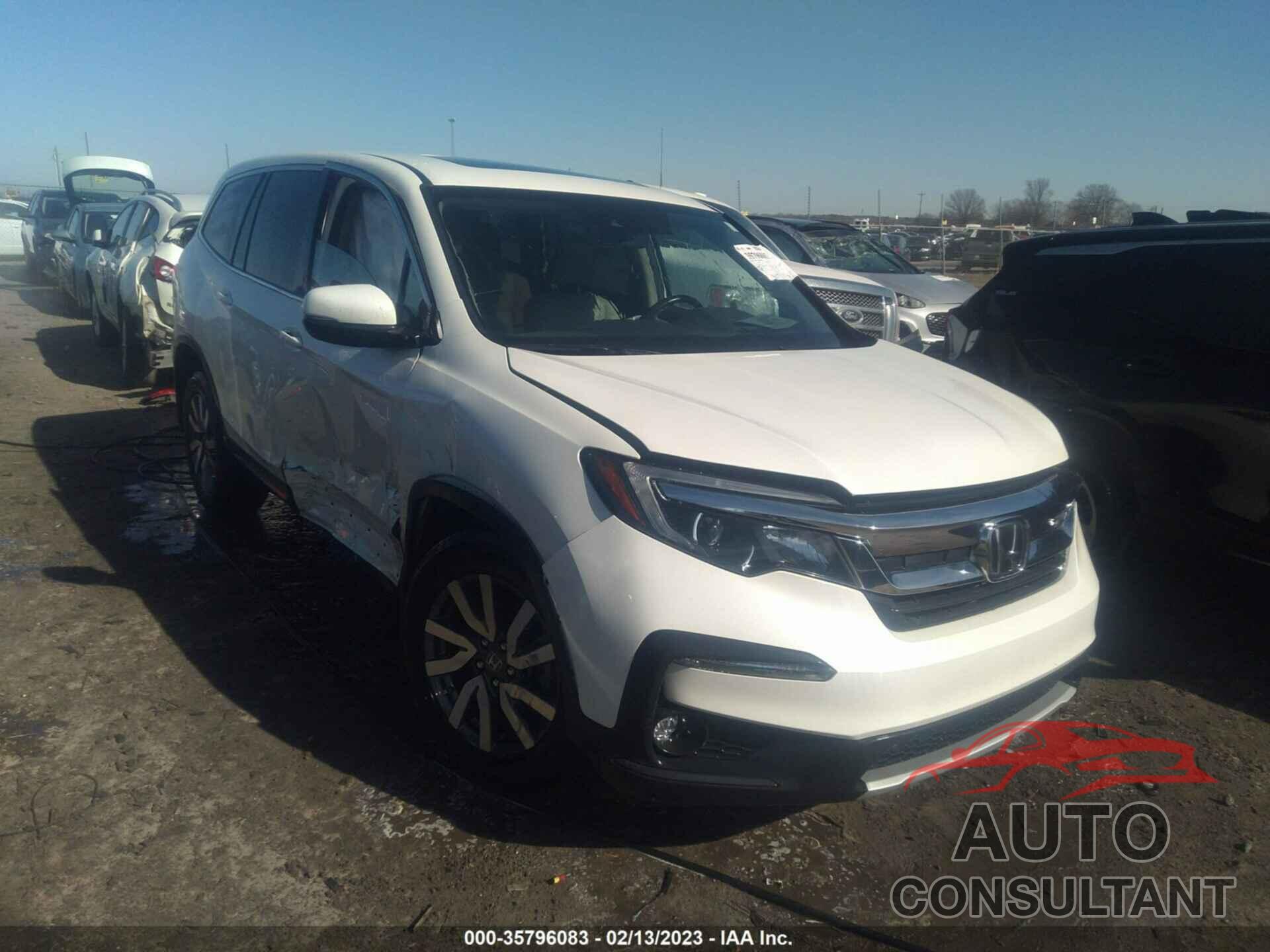 HONDA PILOT 2019 - 5FNYF6H50KB051975