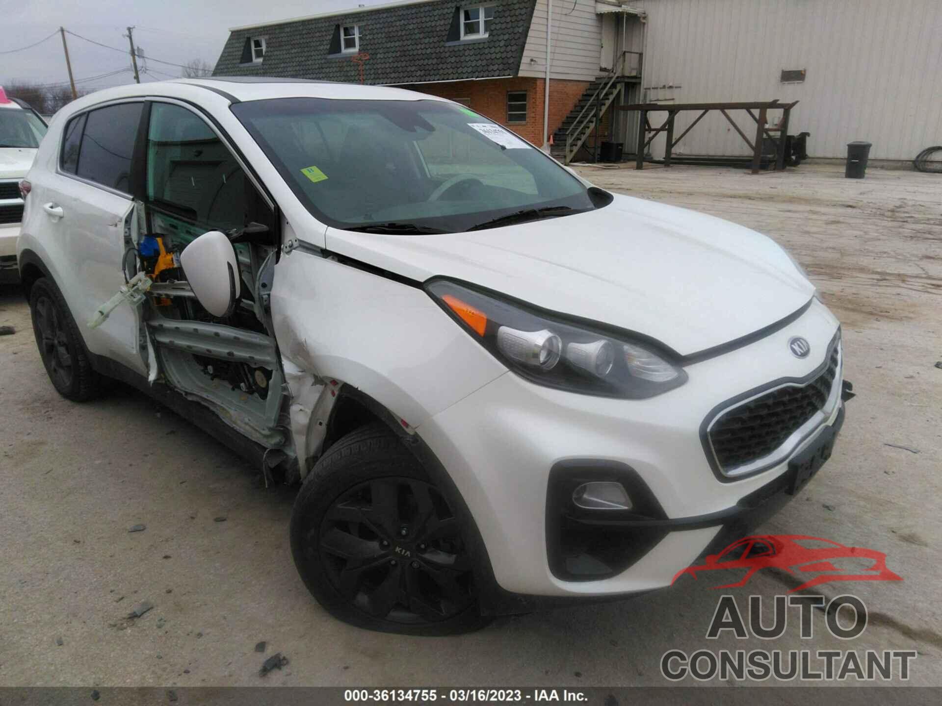 KIA SPORTAGE 2022 - KNDPMCAC4N7969800