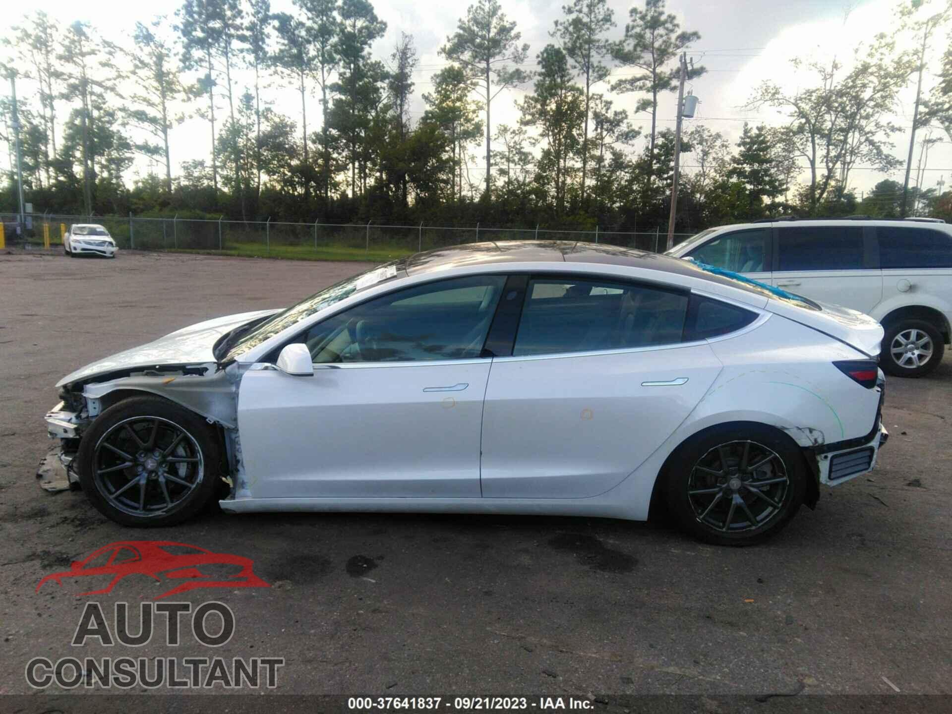 TESLA MODEL 3 2019 - 5YJ3E1EA0KF424806