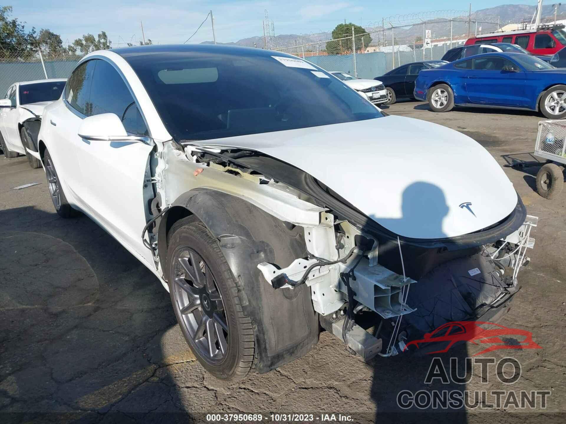 TESLA MODEL 3 2019 - 5YJ3E1EA3KF309729