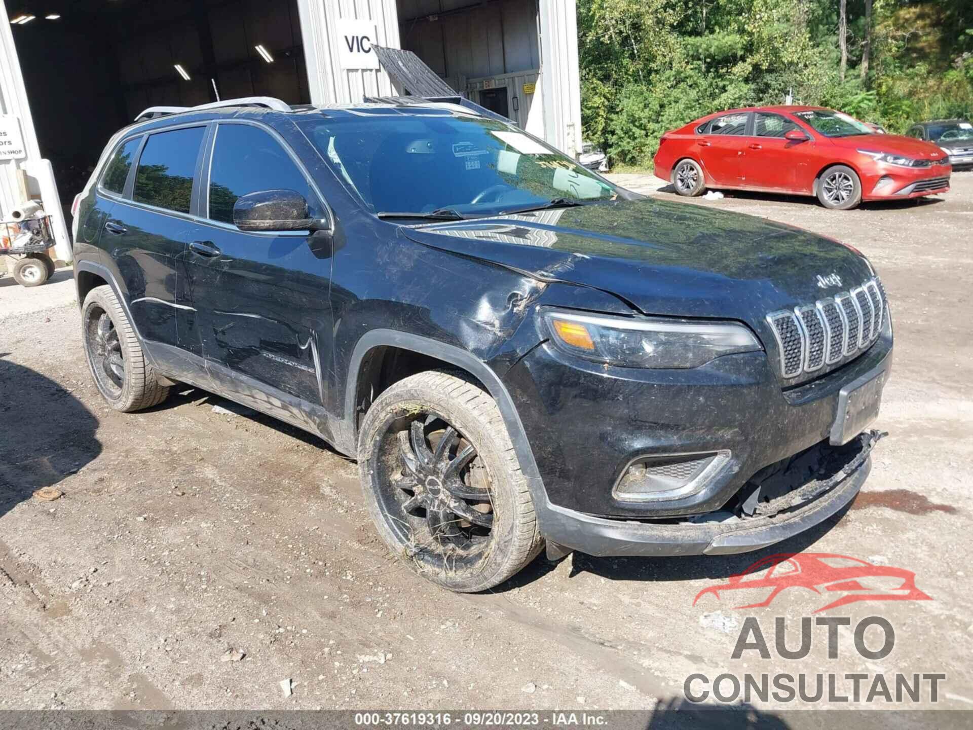 JEEP CHEROKEE 2019 - 1C4PJMDX2KD126348