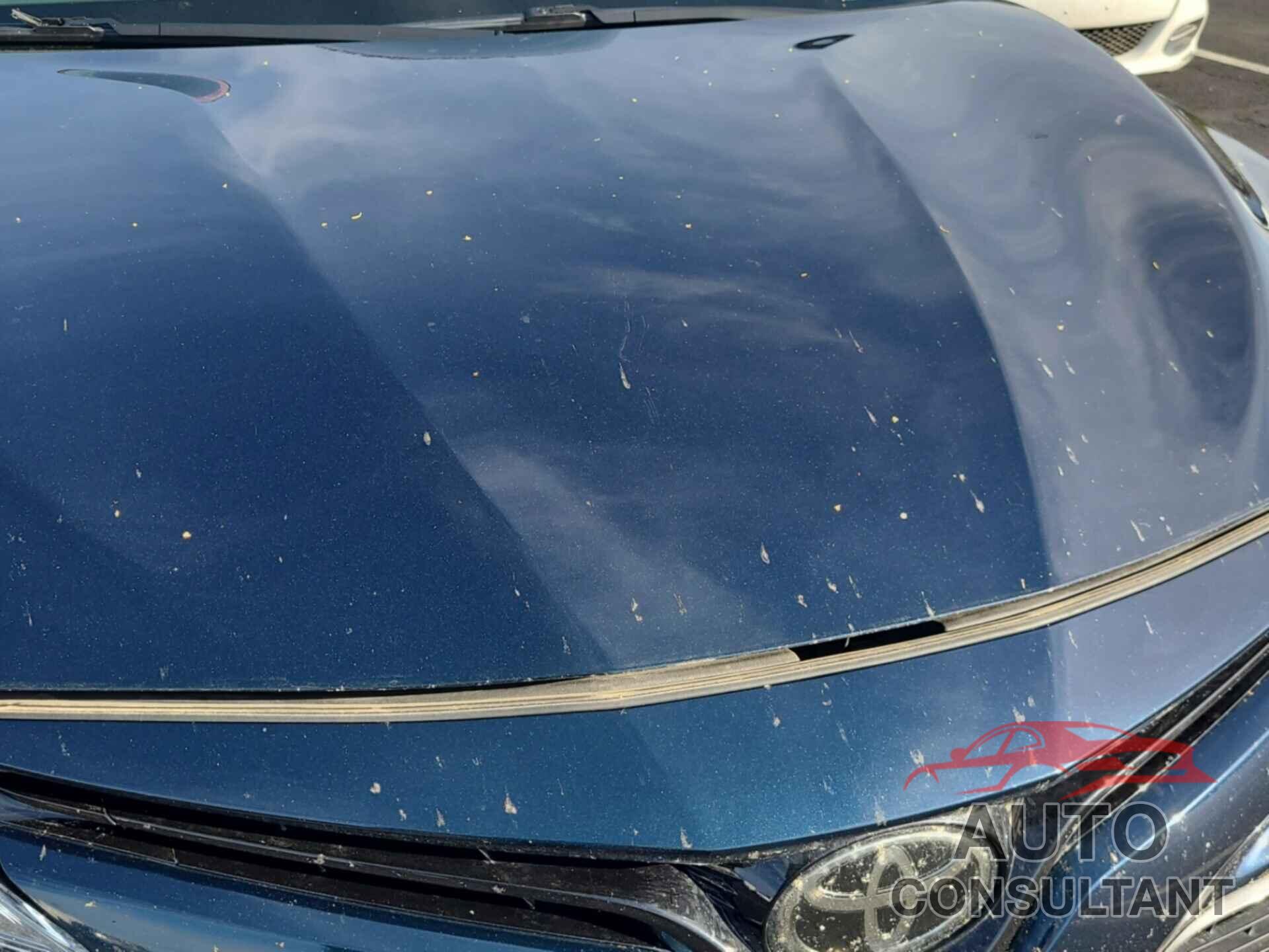 TOYOTA CAMRY 2019 - 4T1B11HKXKU778945