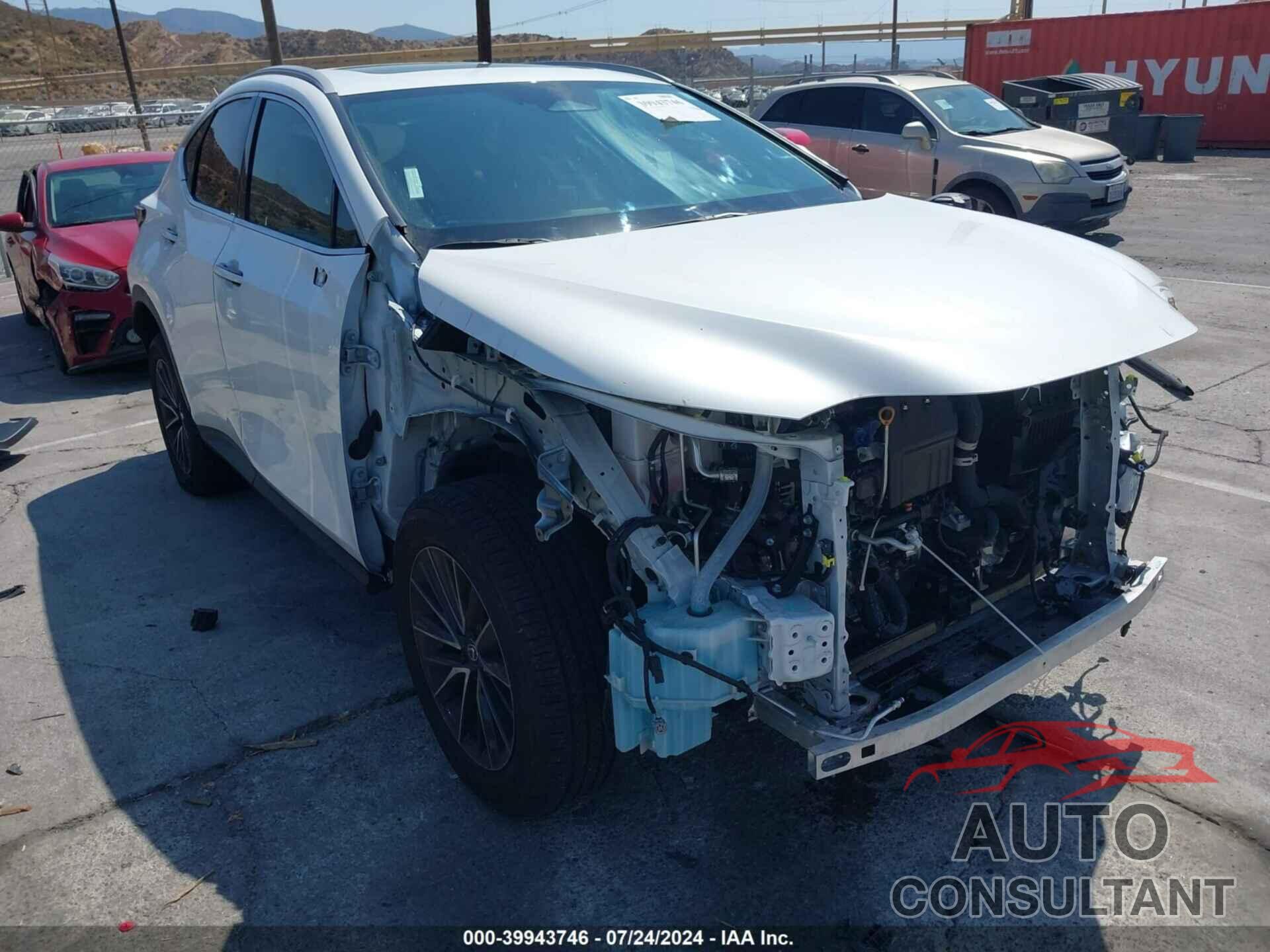 LEXUS NX 350 2024 - 2T2AGCEZ2RC035744