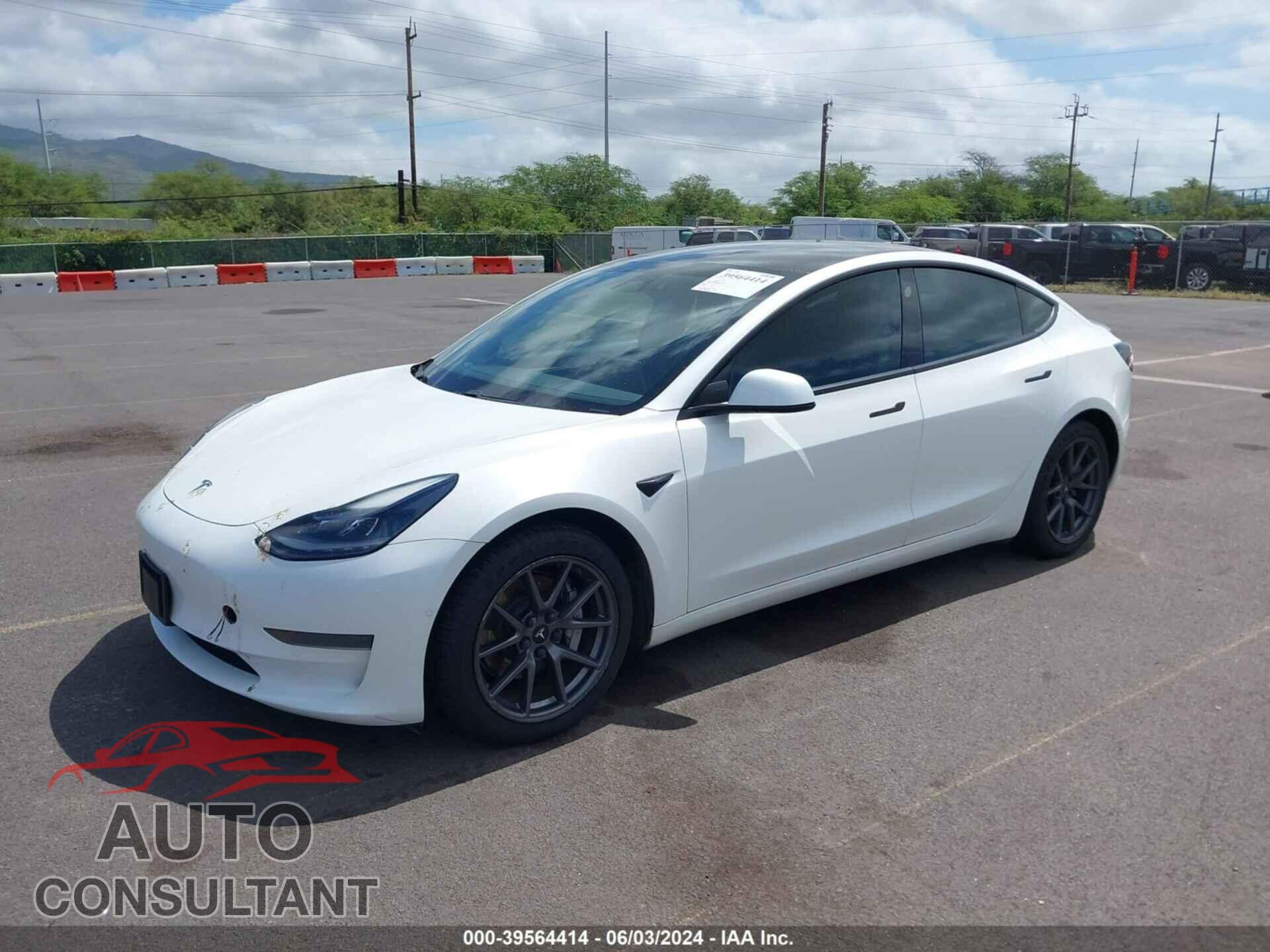TESLA MODEL 3 2021 - 5YJ3E1EA2MF981896