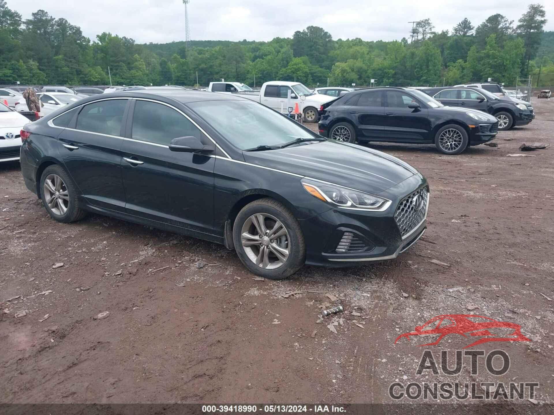 HYUNDAI SONATA 2019 - 5NPE34AF9KH809011