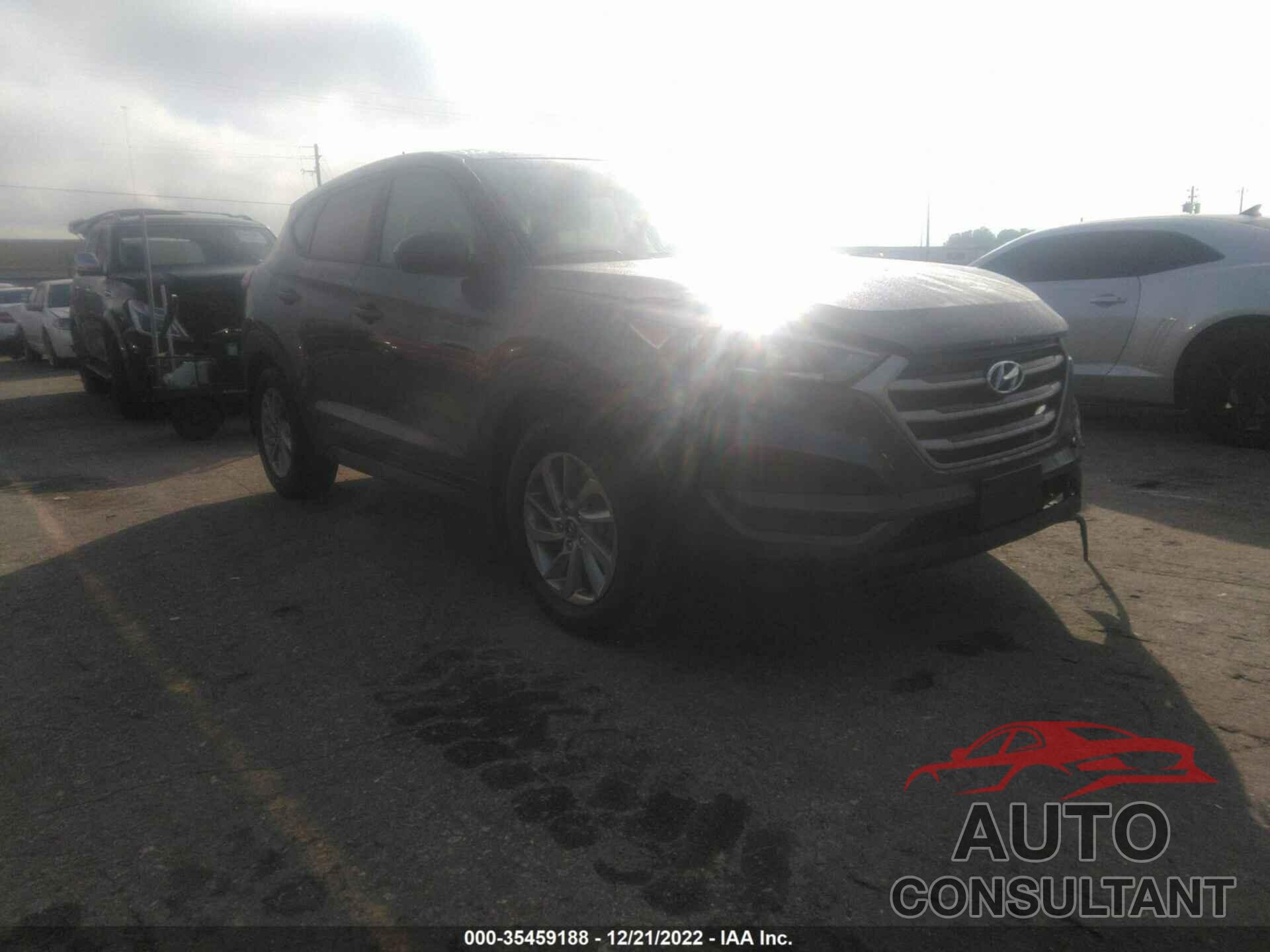 HYUNDAI TUCSON 2017 - KM8J23A41HU401610