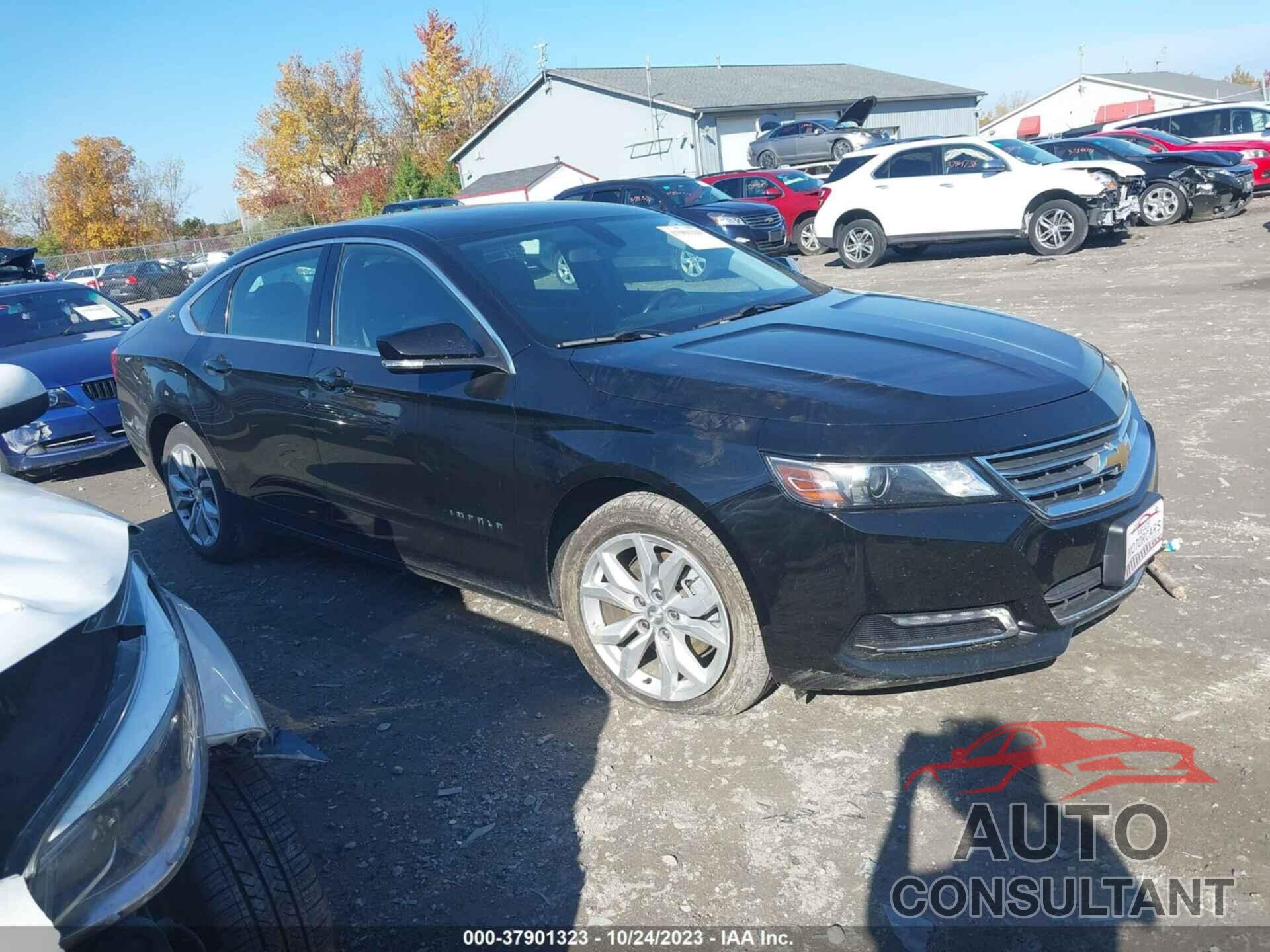 CHEVROLET IMPALA 2019 - 2G11Z5S39K9103028