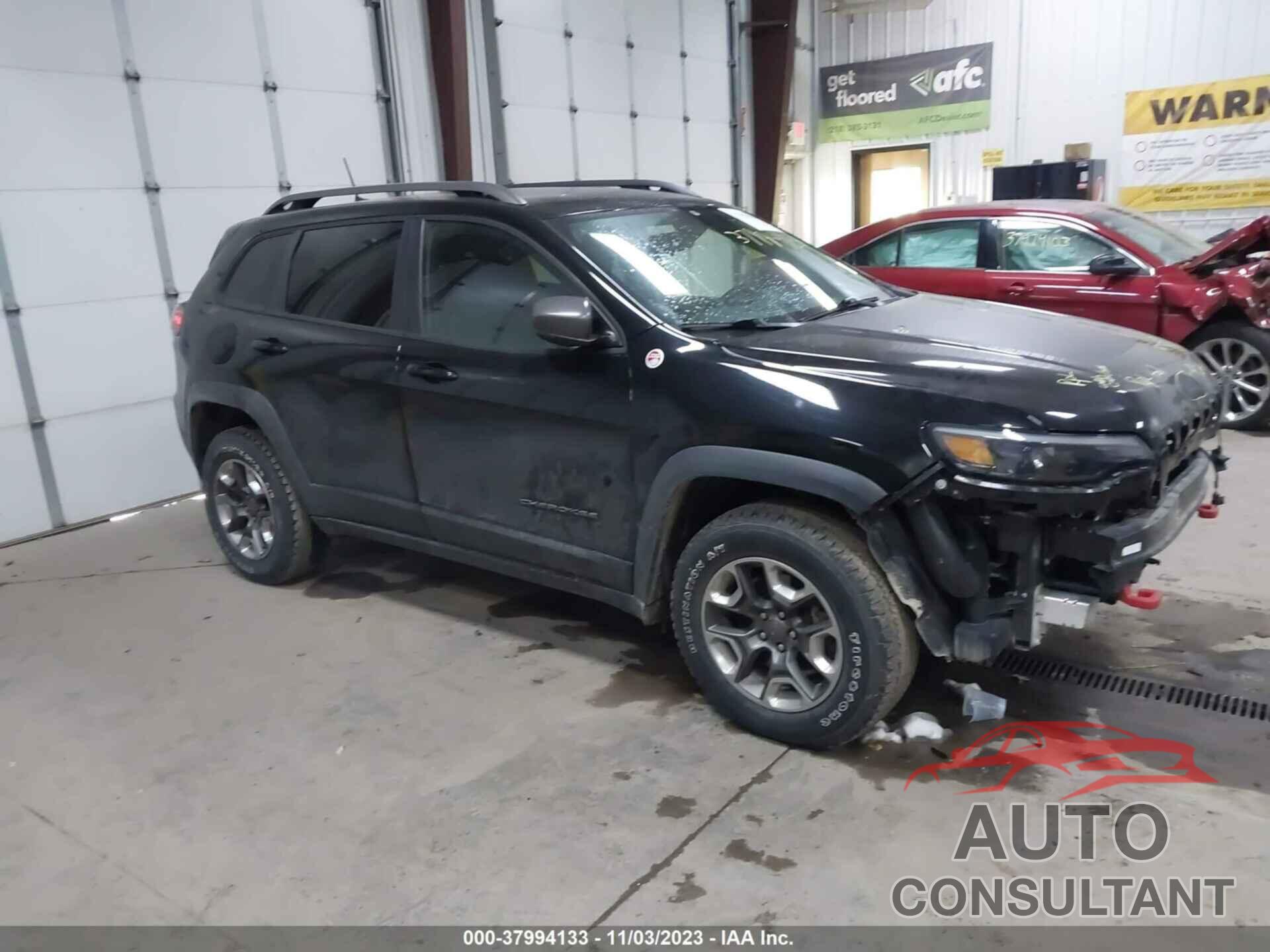 JEEP CHEROKEE 2019 - 1C4PJMBX8KD362523