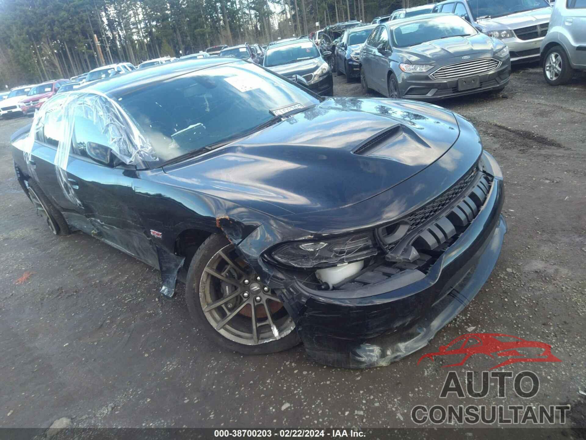 DODGE CHARGER 2019 - 2C3CDXGJ8KH704166