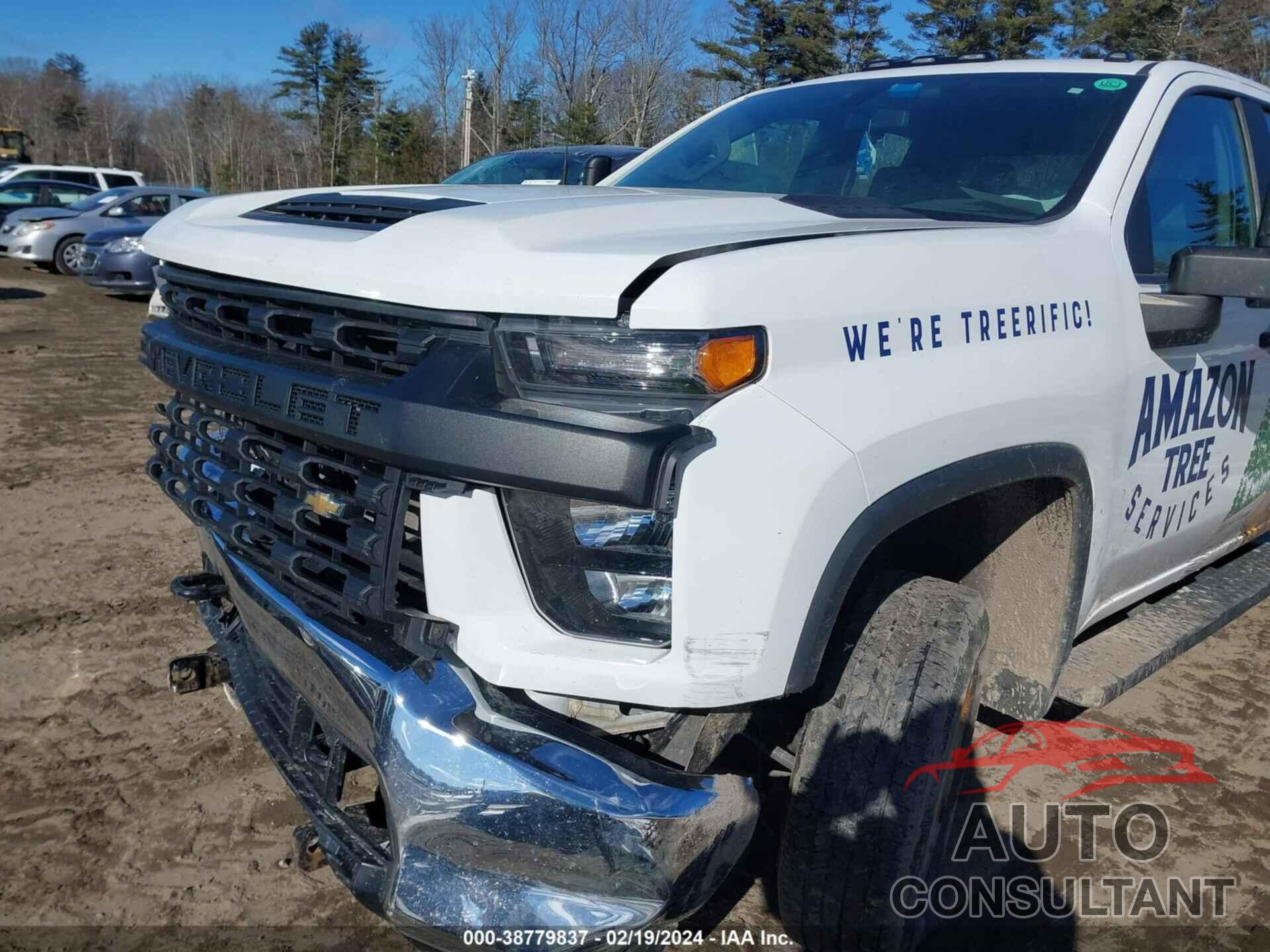 CHEVROLET SILVERADO 2500HD 2020 - 1GC5YLE74LF304908