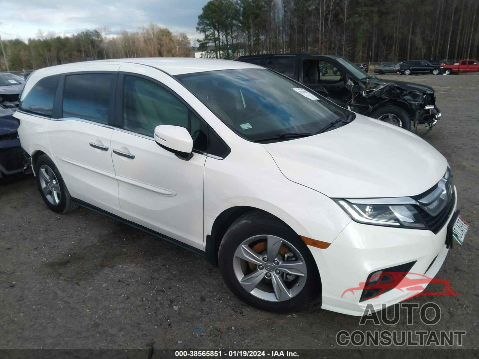 HONDA ODYSSEY 2019 - 5FNRL6H5XKB075195