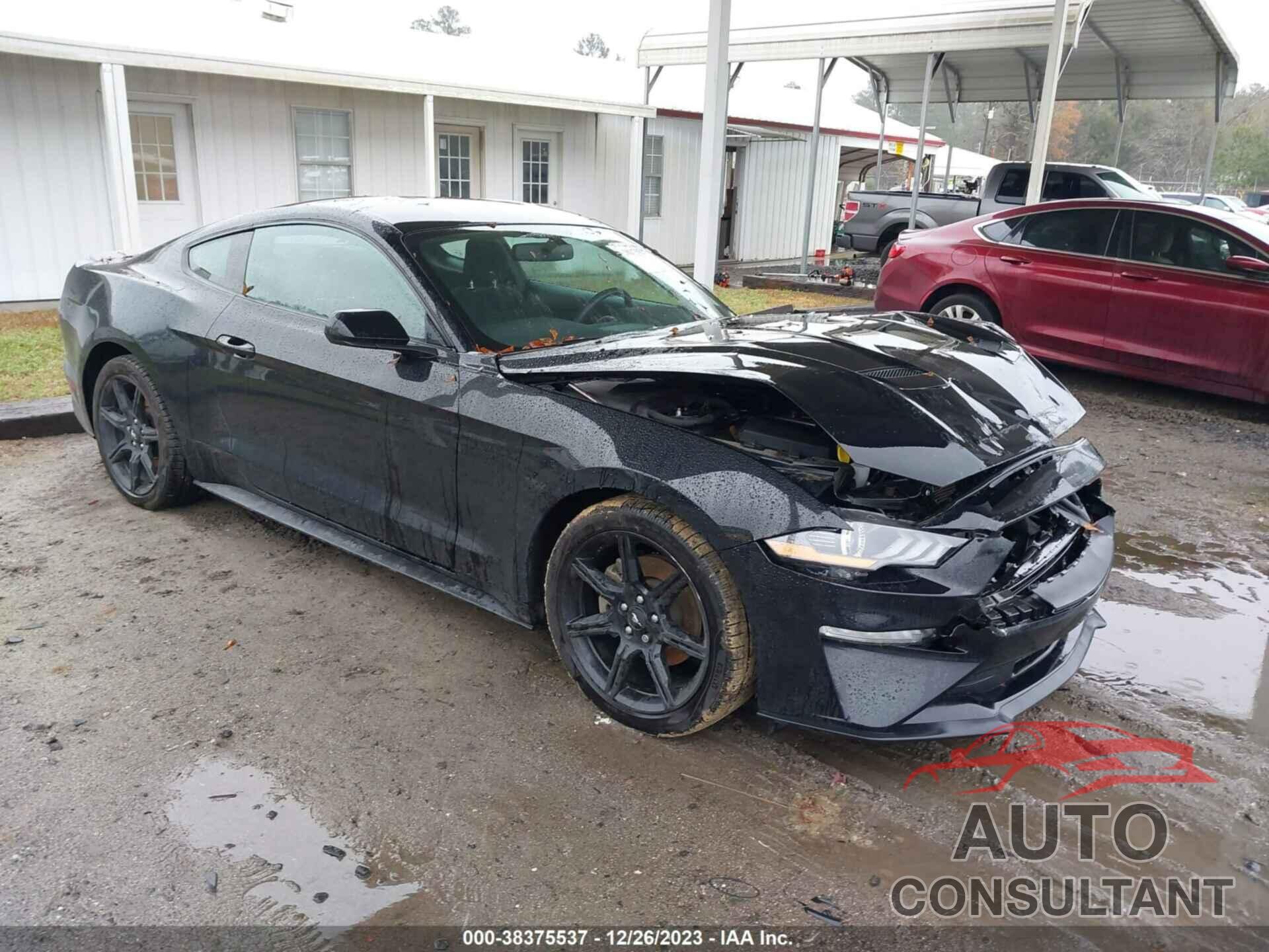 FORD MUSTANG 2019 - 1FA6P8TH5K5105442