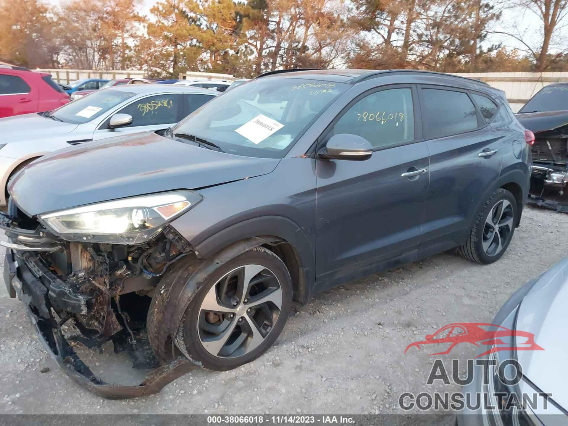 HYUNDAI TUCSON 2016 - KM8J3CA23GU109743