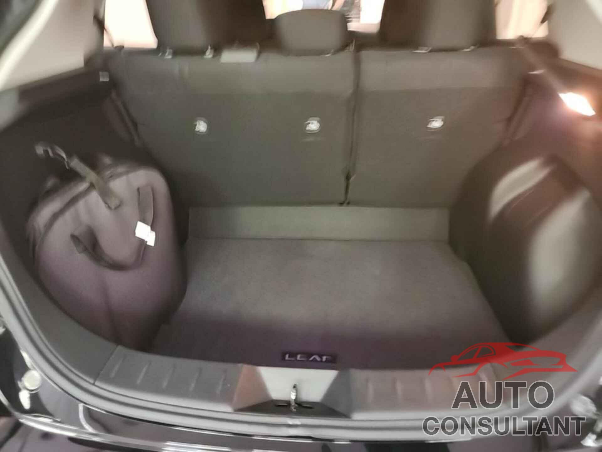 NISSAN LEAF 2020 - 1N4AZ1CP2LC307672