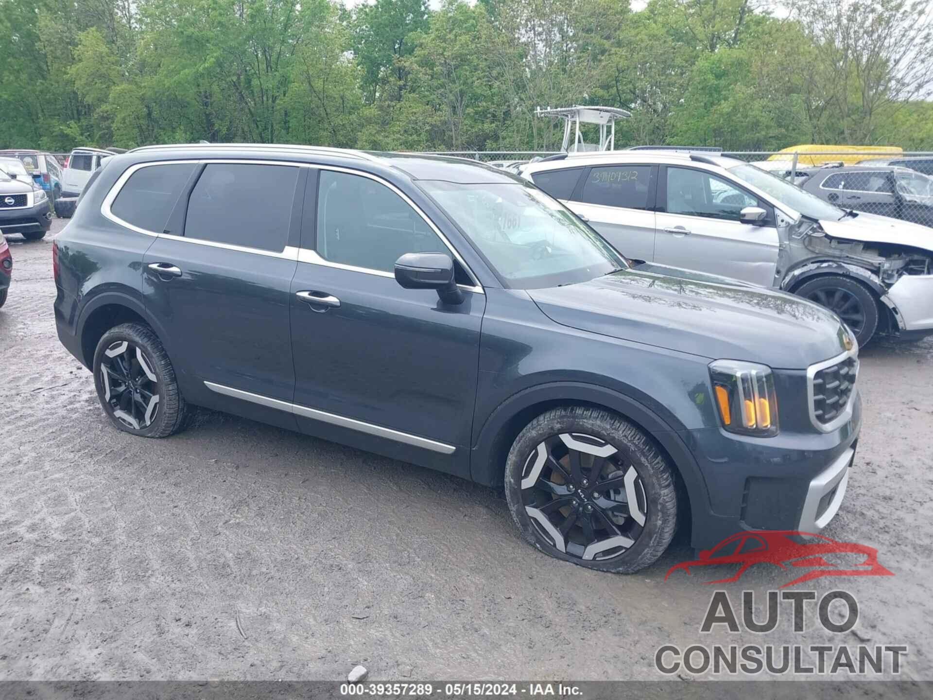 KIA TELLURIDE 2024 - 5XYP6DGC0RG469455