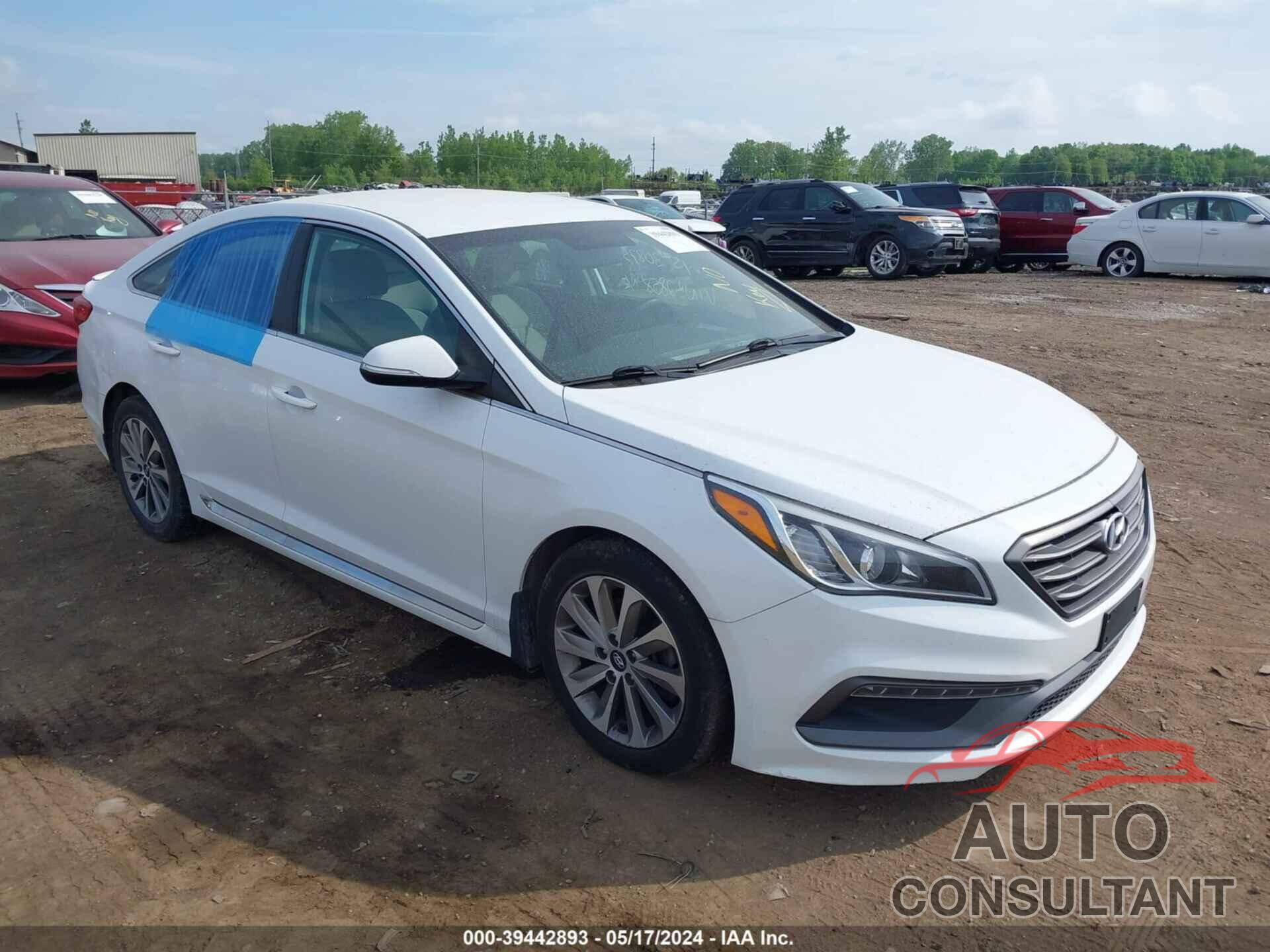 HYUNDAI SONATA 2016 - 5NPE34AFXGH322858