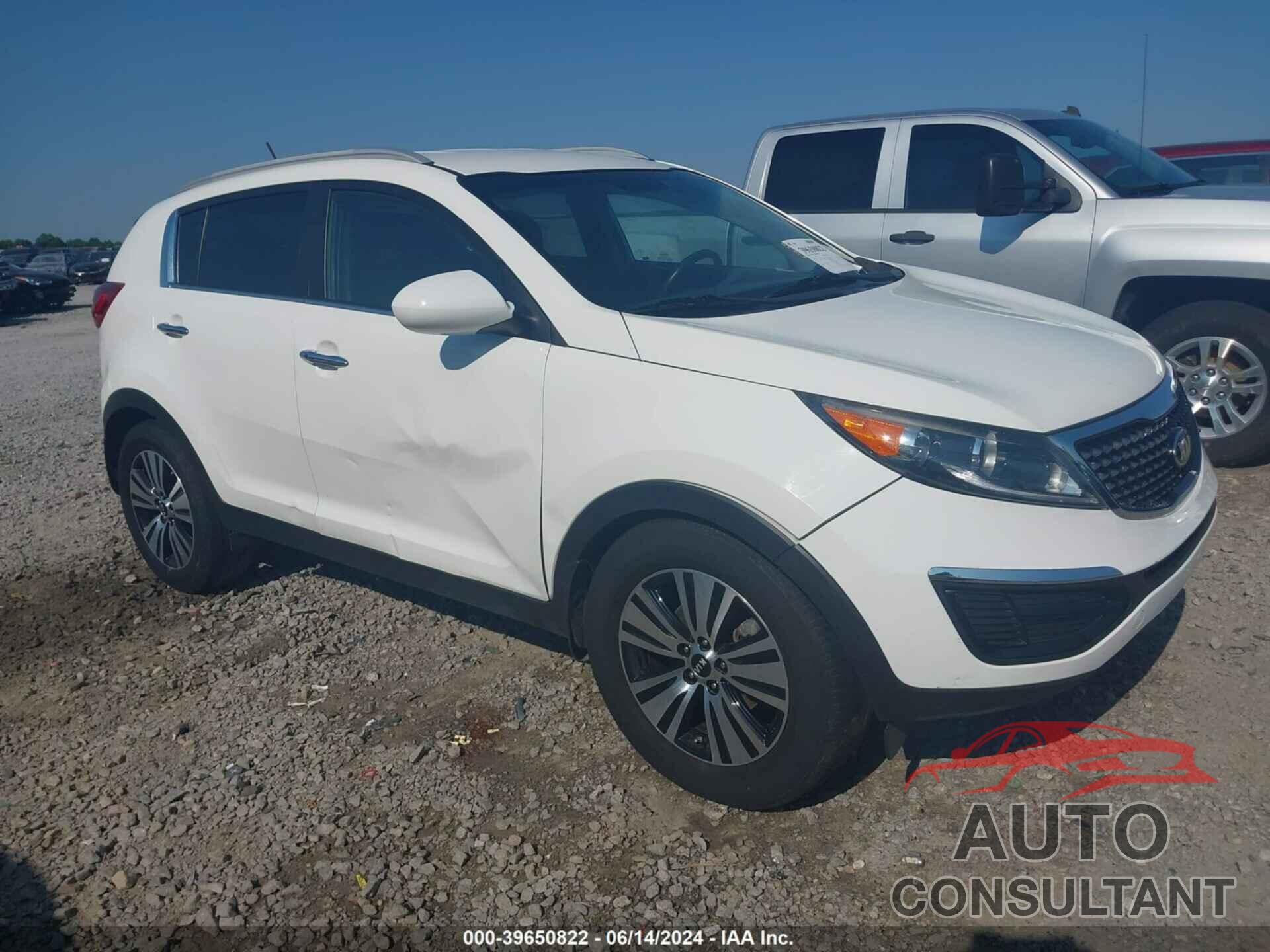 KIA SPORTAGE 2016 - KNDPC3AC7G7845445