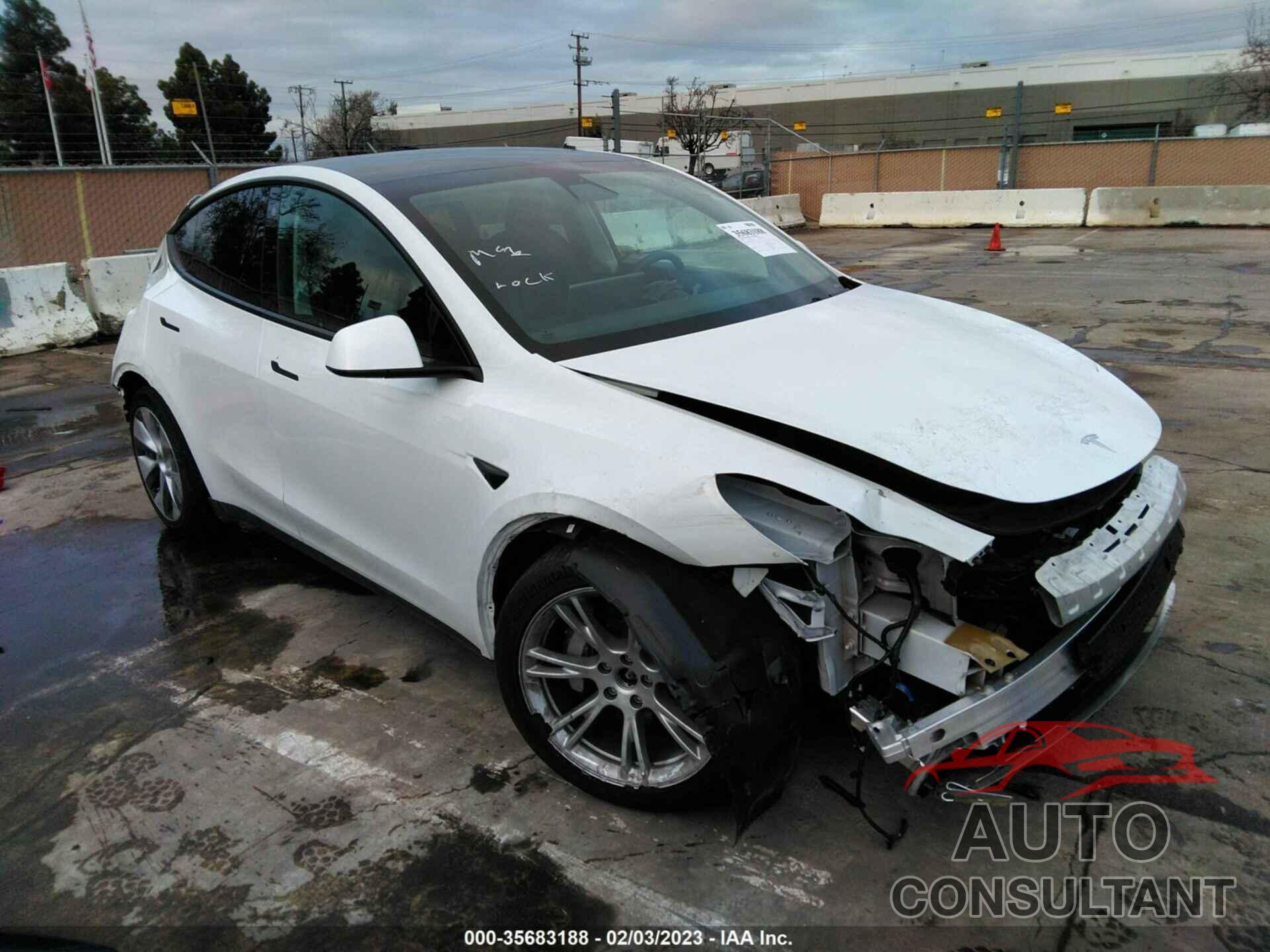 TESLA MODEL Y 2021 - 5YJYGDEE8MF303044