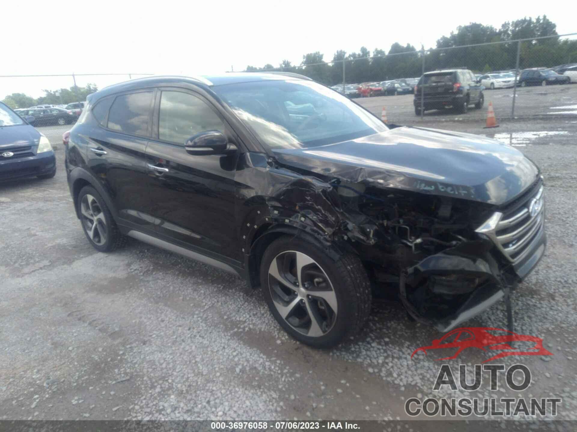 HYUNDAI TUCSON 2017 - KM8J33A23HU346962