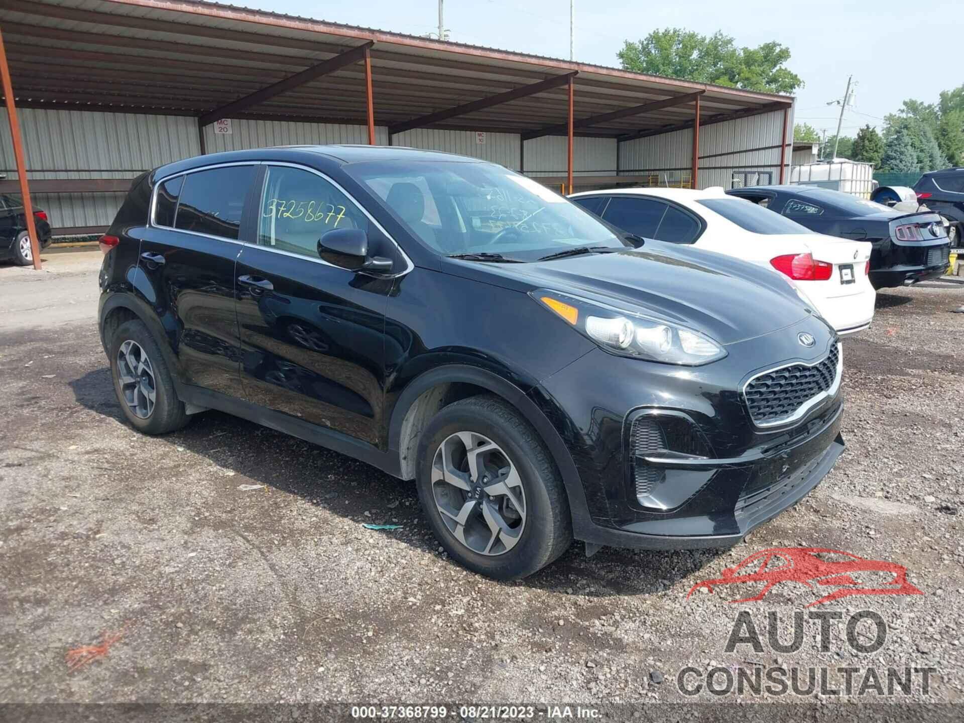 KIA SPORTAGE 2022 - KNDPM3AC2N7002733