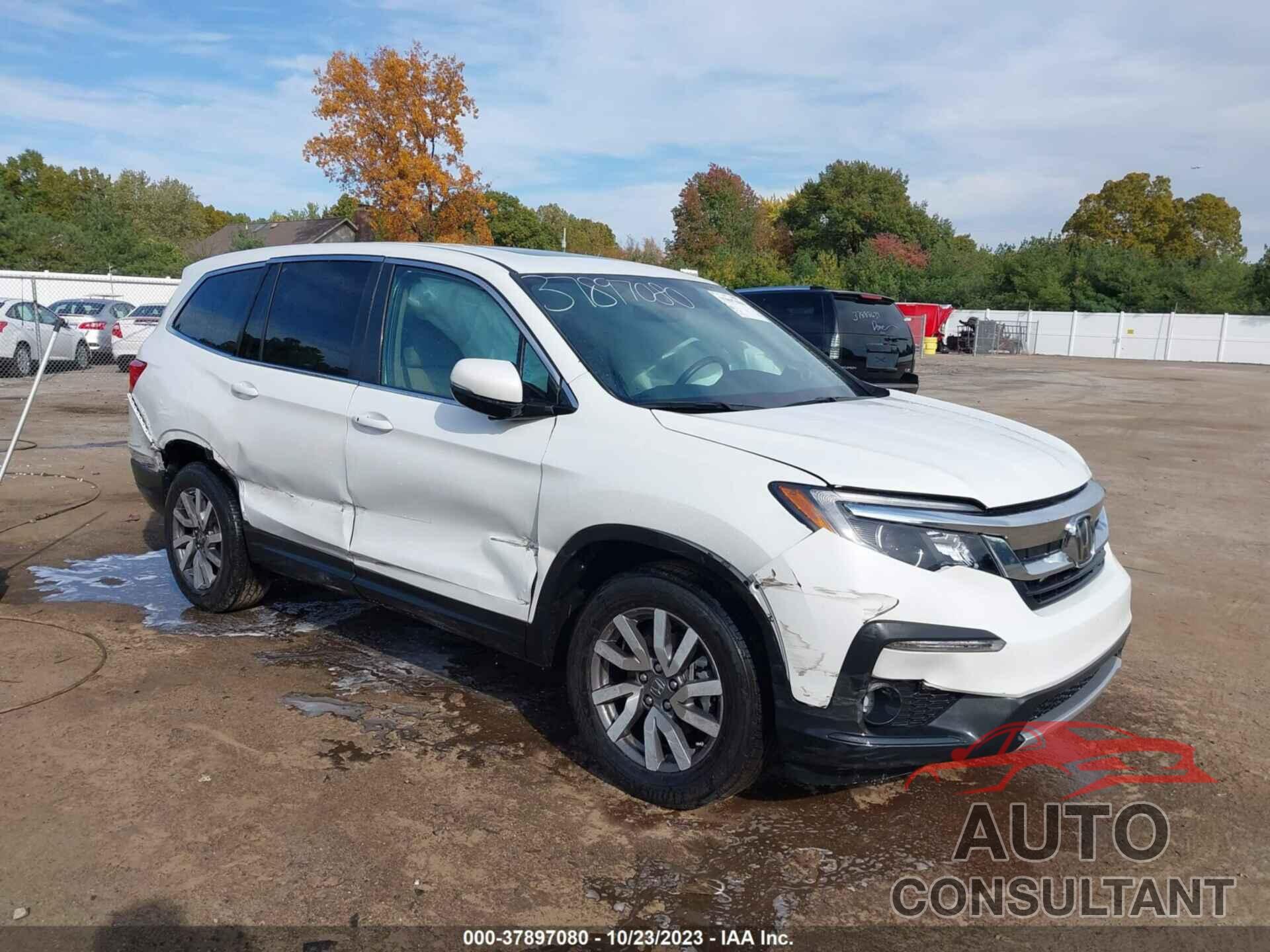 HONDA PILOT 2021 - 5FNYF6H50MB003752