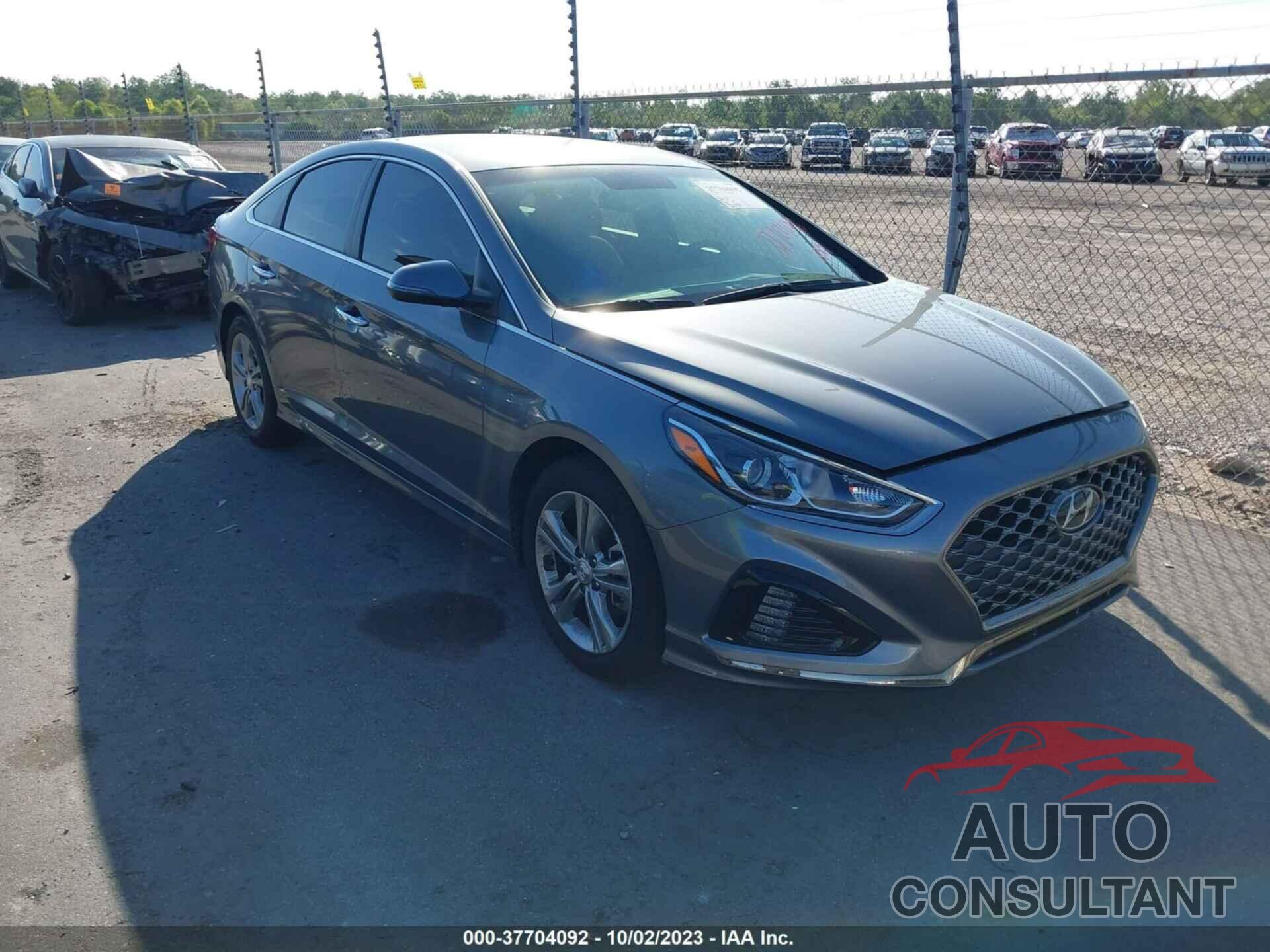 HYUNDAI SONATA 2019 - 5NPE34AF7KH760696