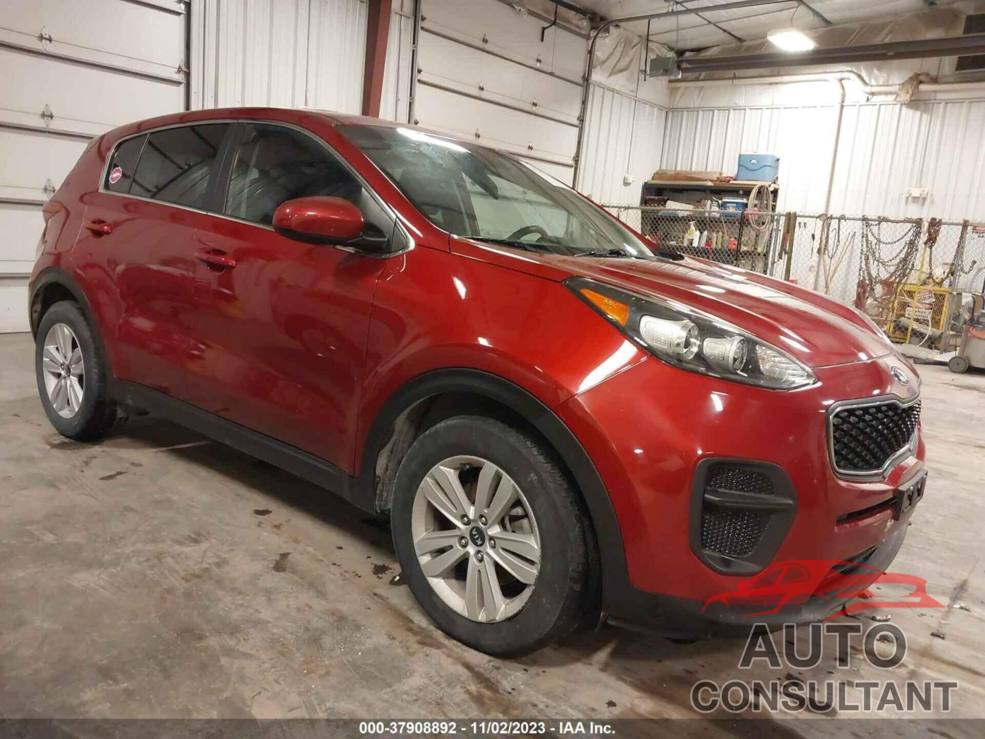 KIA SPORTAGE 2017 - KNDPM3AC8H7166170
