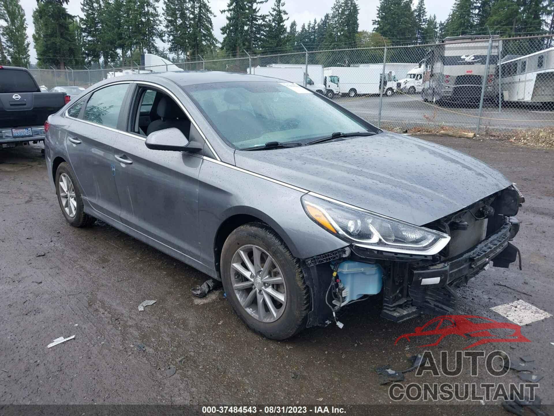 HYUNDAI SONATA 2019 - 5NPE24AF2KH801612
