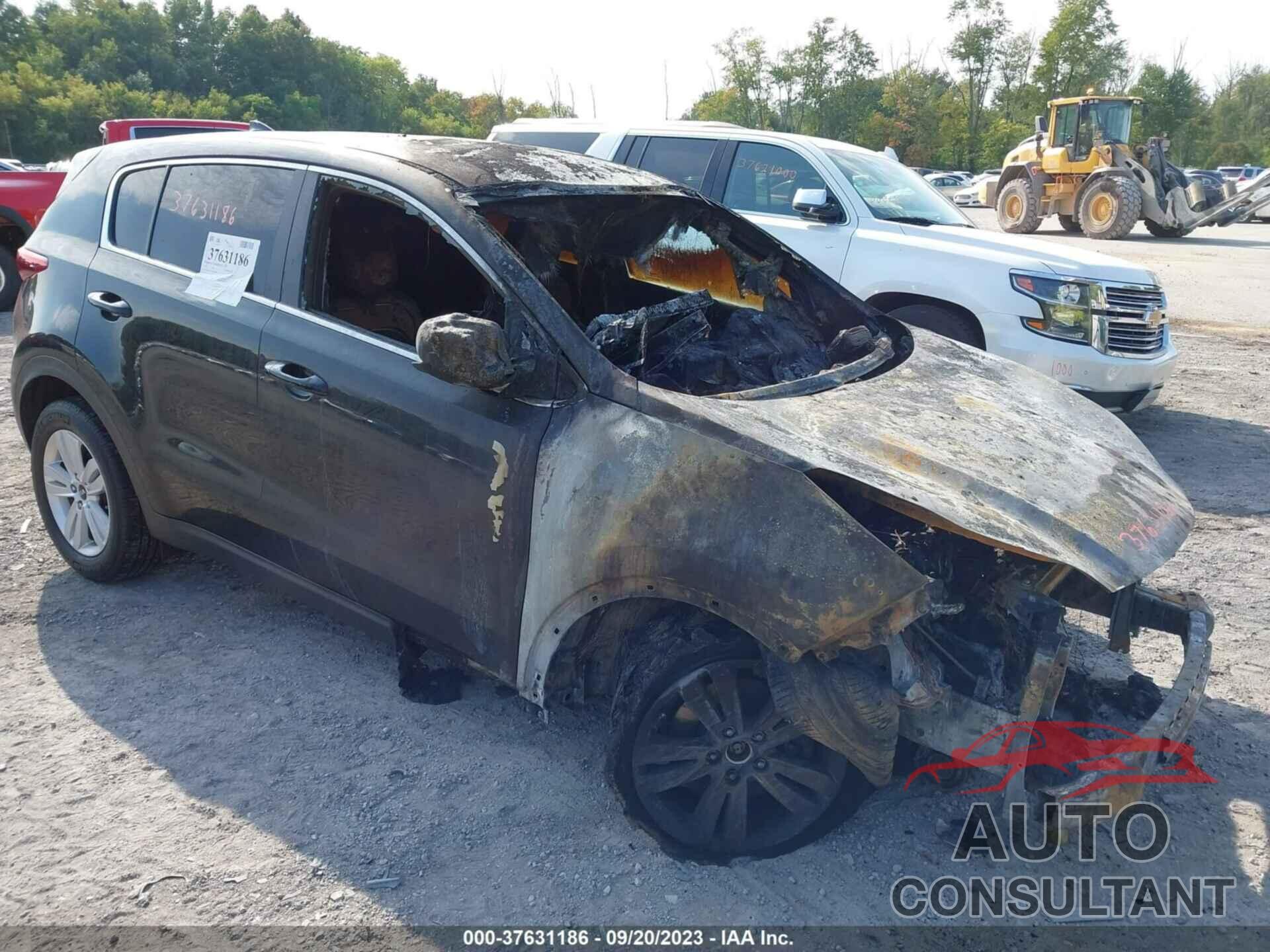 KIA SPORTAGE 2017 - KNDPMCAC6H7138187