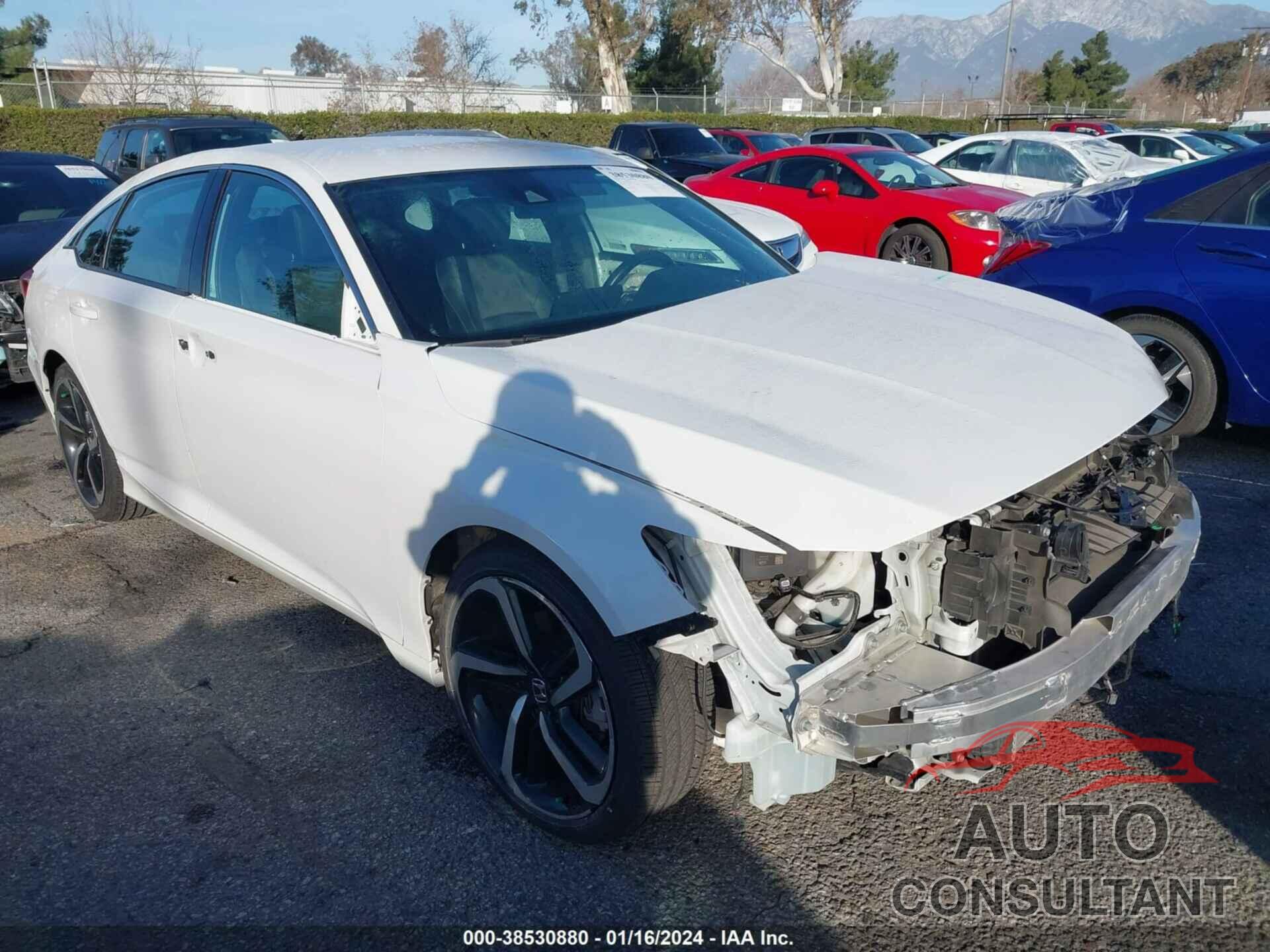 HONDA ACCORD 2021 - 1HGCV1F33MA095824