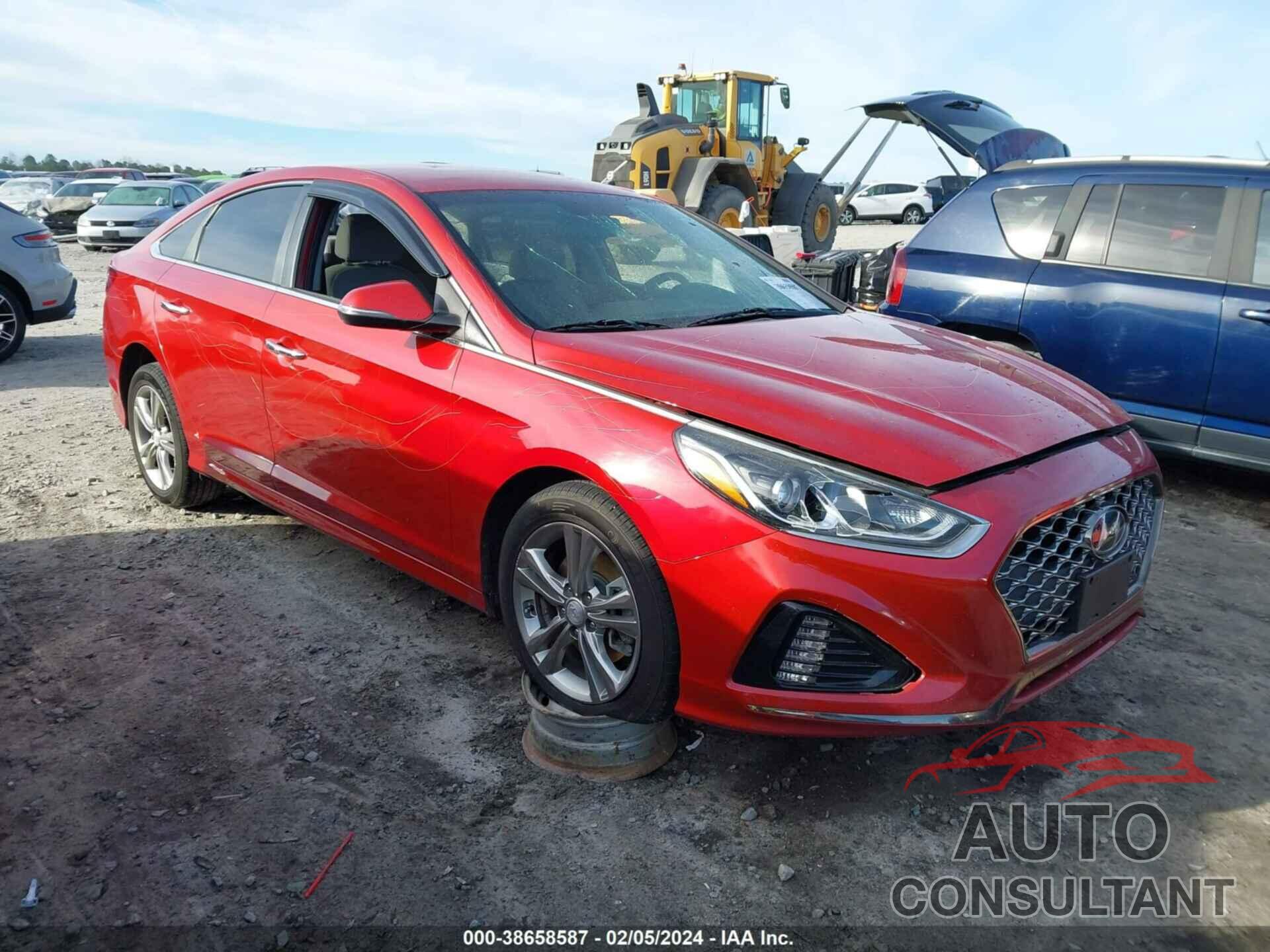 HYUNDAI SONATA 2019 - 5NPE34AF4KH774975