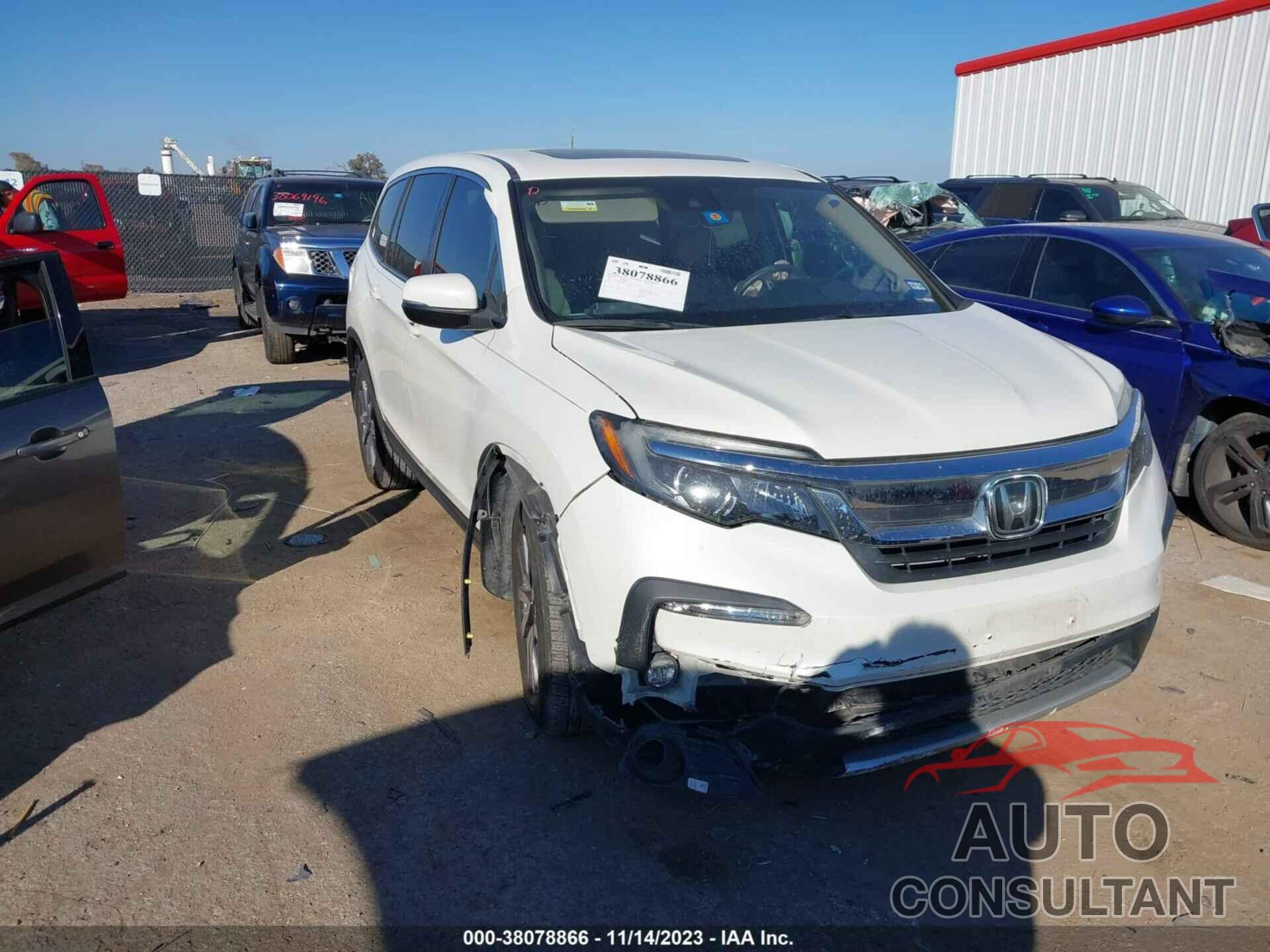 HONDA PILOT 2019 - 5FNYF6H5XKB063115