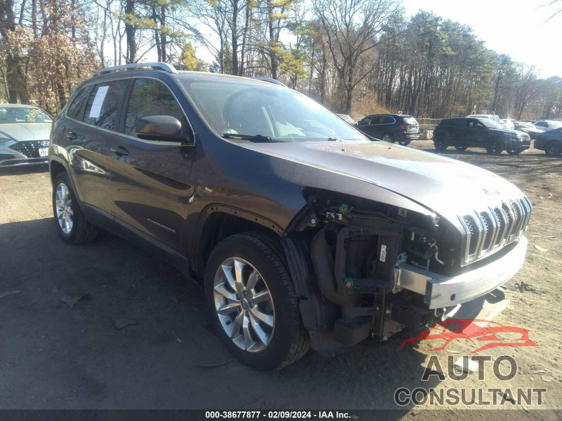 JEEP CHEROKEE 2016 - 1C4PJMDS7GW374997