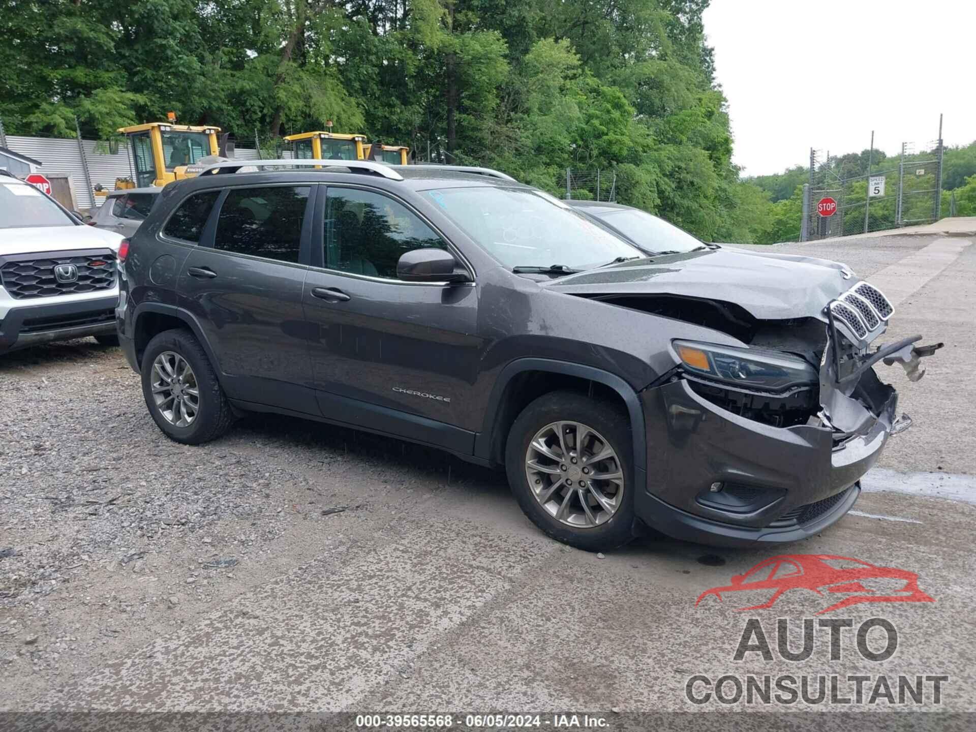 JEEP CHEROKEE 2019 - 1C4PJMLB2KD437459