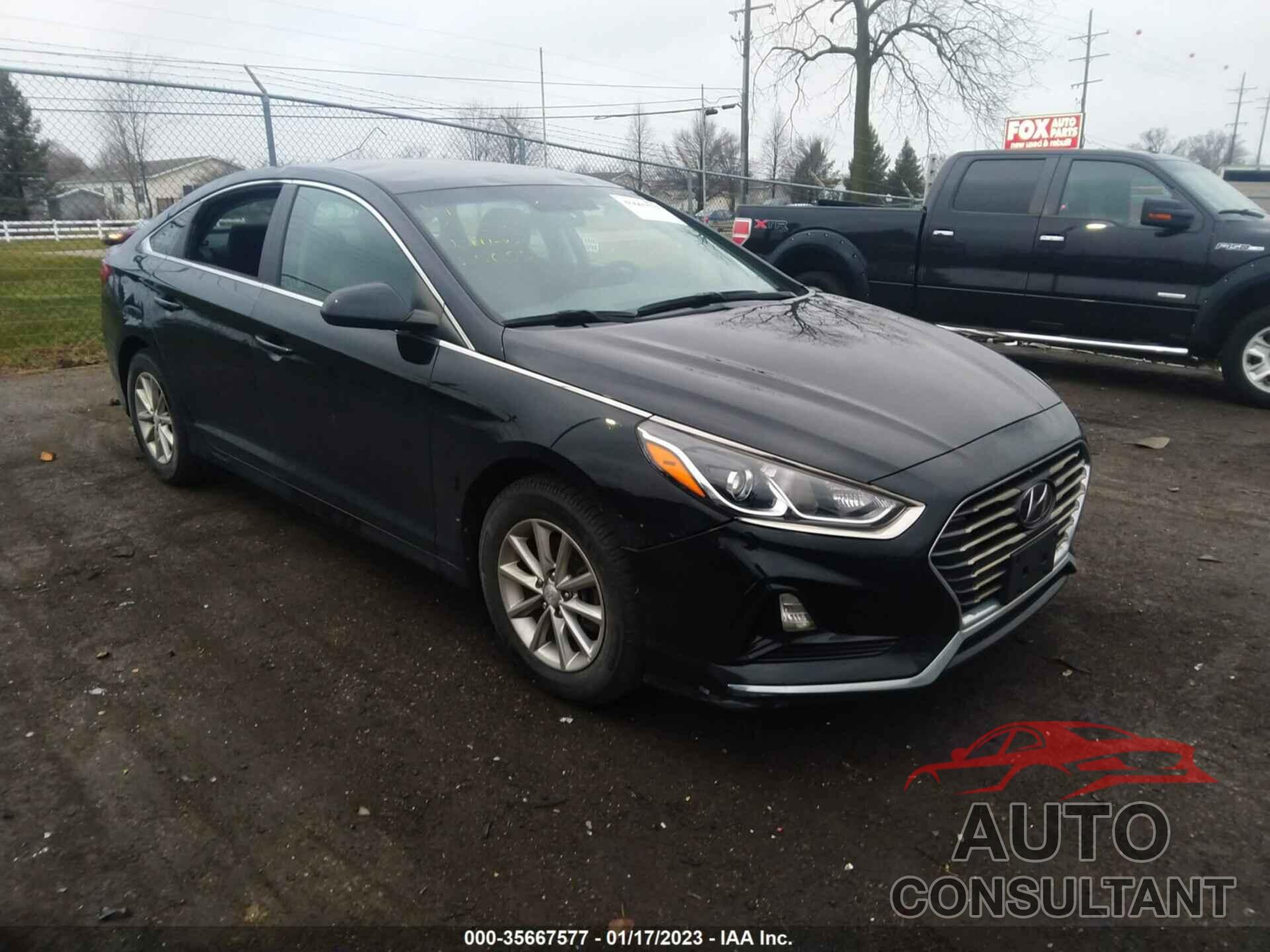 HYUNDAI SONATA 2019 - 5NPE24AF5KH735685