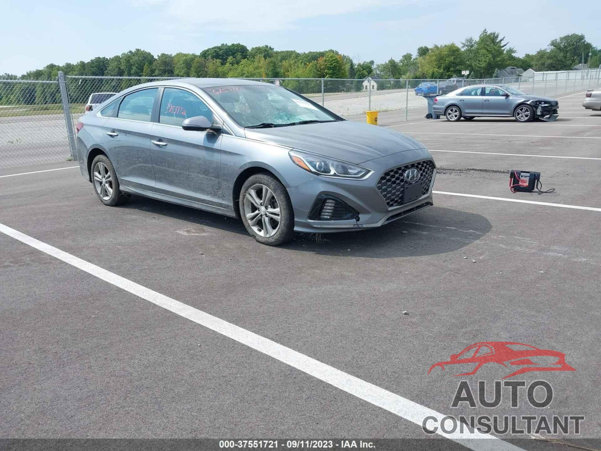 HYUNDAI SONATA 2019 - 5NPE34AF7KH764537