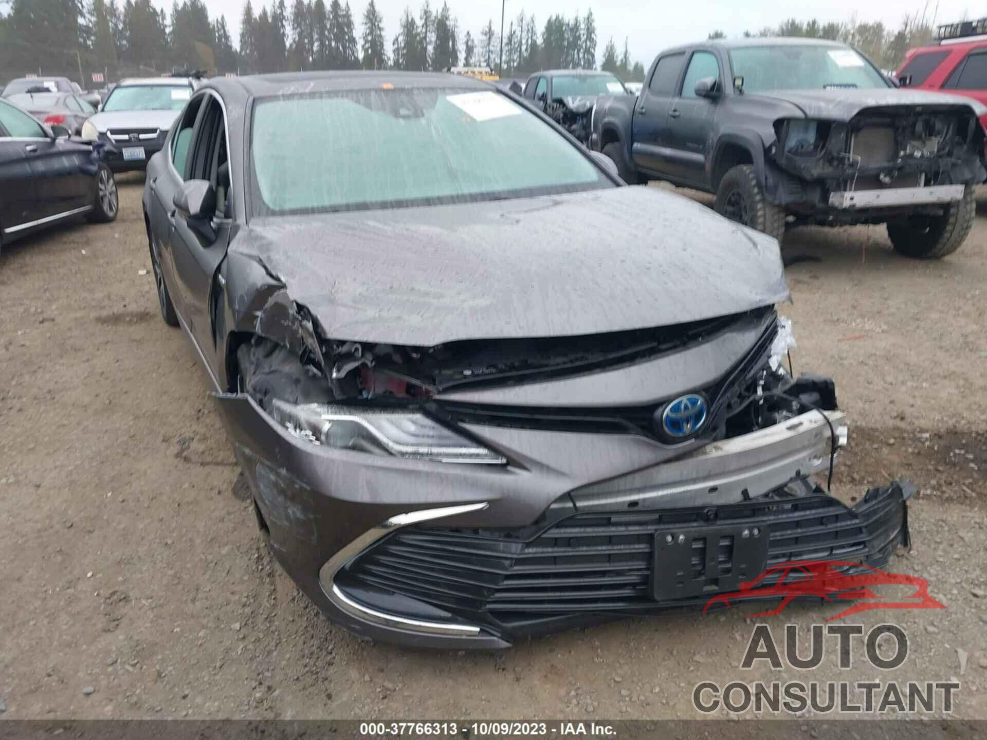 TOYOTA CAMRY 2021 - 4T1F31AK6MU563684
