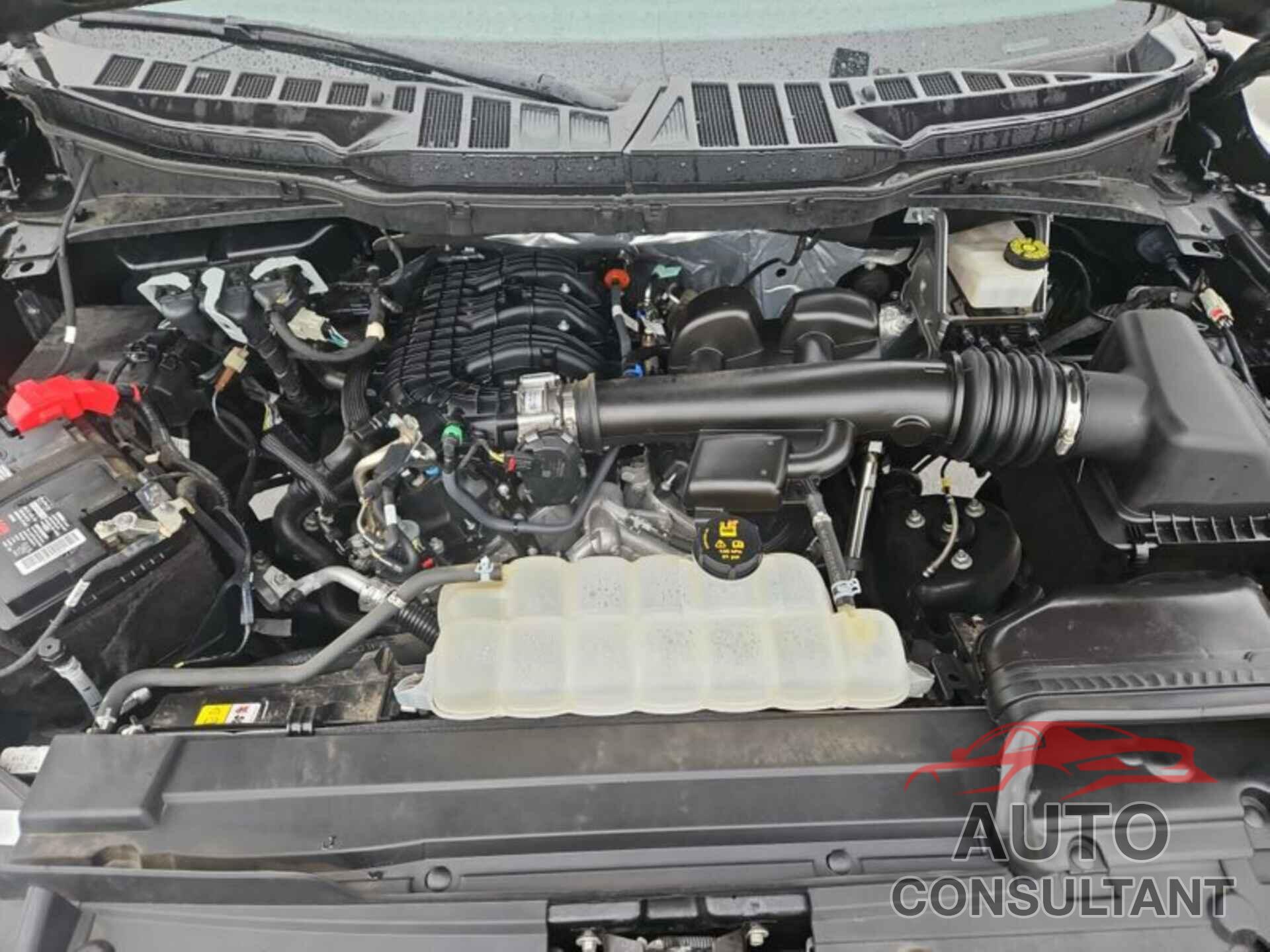 FORD F-150 2021 - 1FTMF1CB6MKF01004