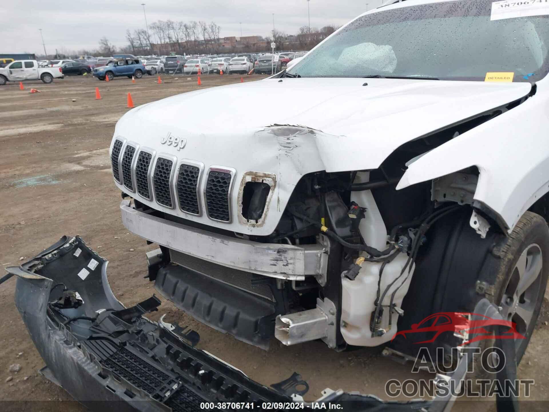 JEEP CHEROKEE 2019 - 1C4PJMDX3KD118078