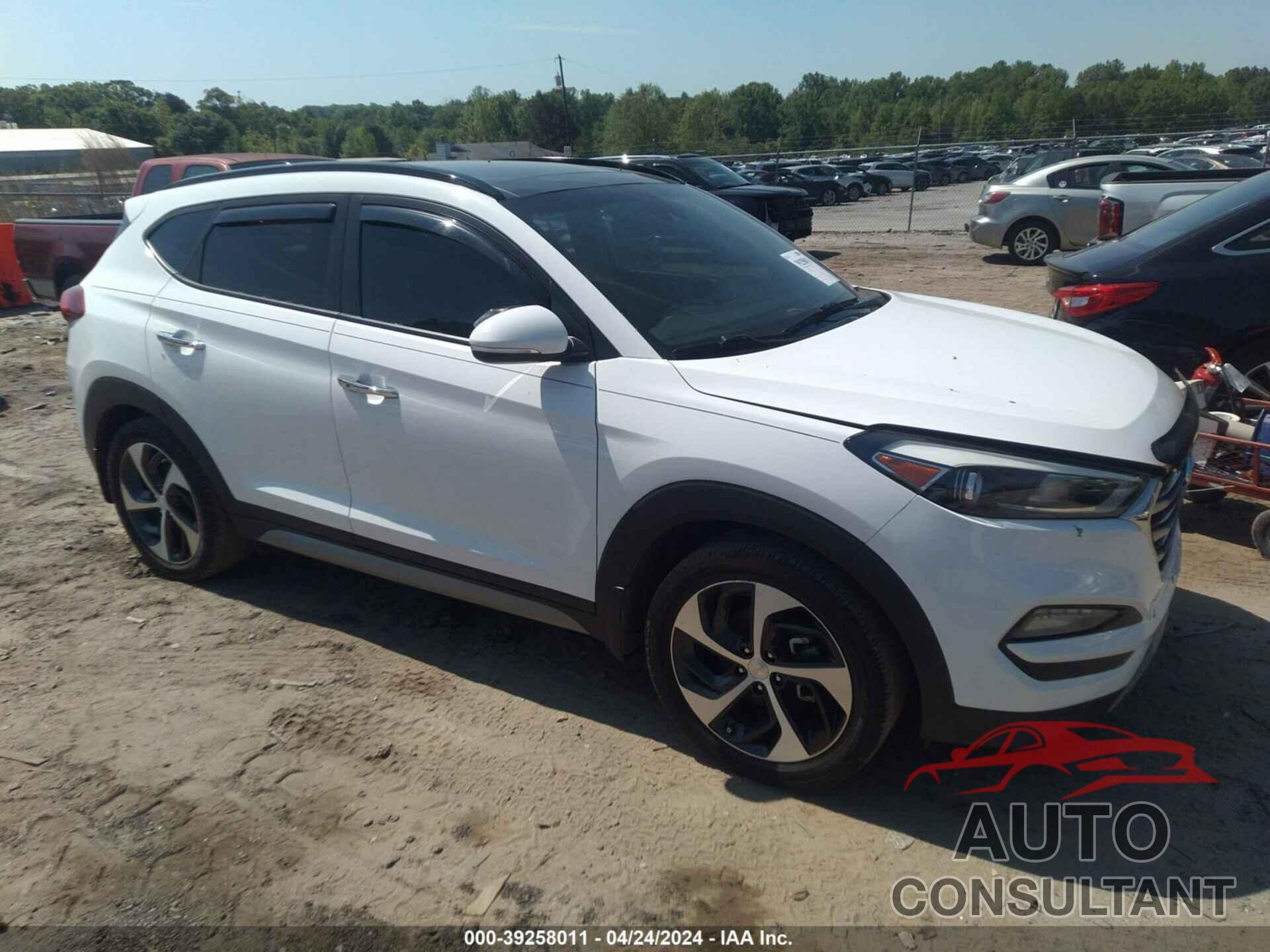 HYUNDAI TUCSON 2017 - KM8J33A23HU361302