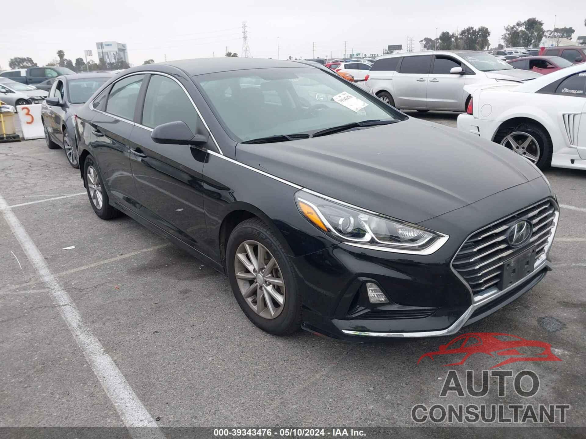 HYUNDAI SONATA 2019 - 5NPE24AF2KH769003