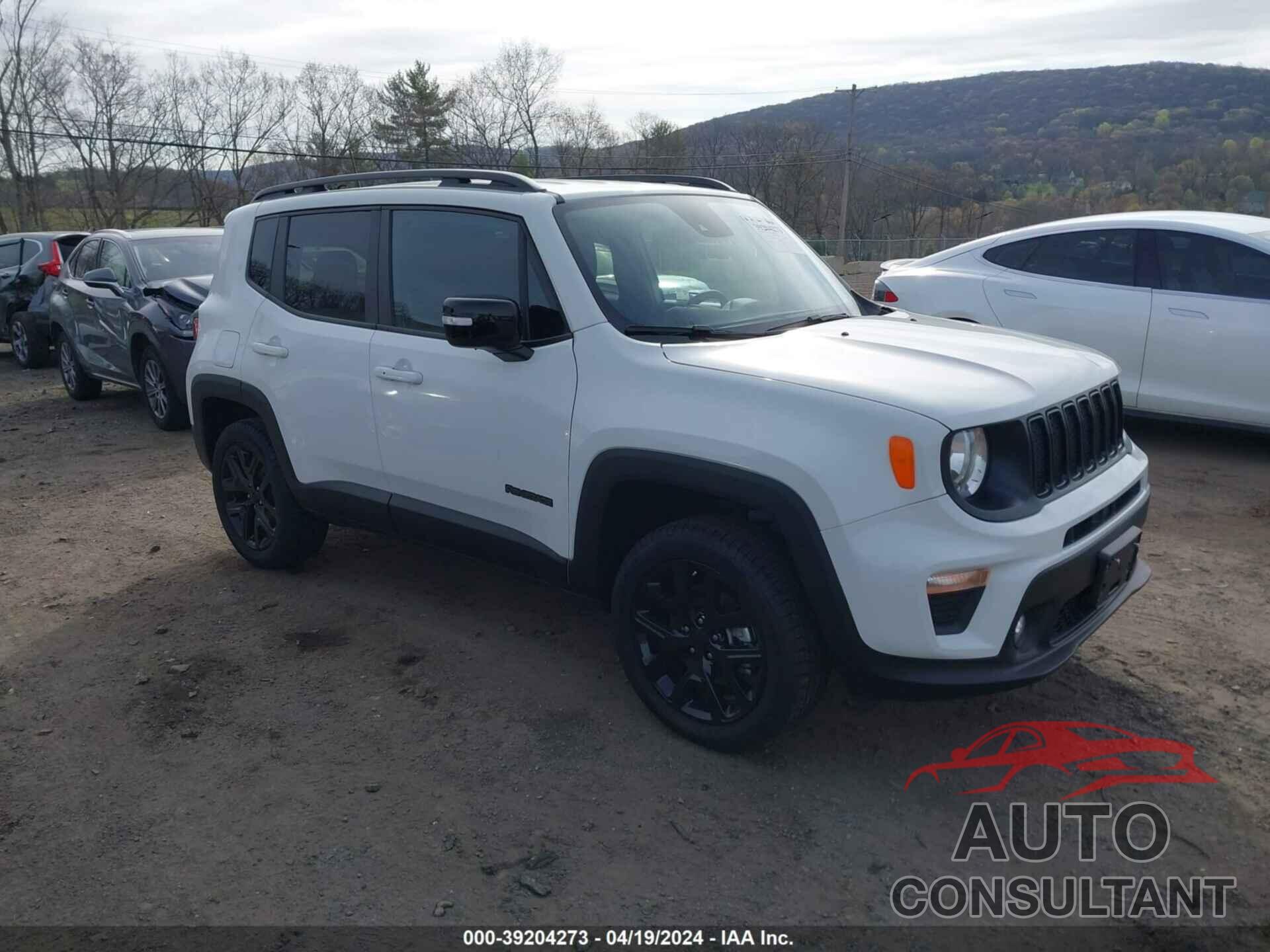 JEEP RENEGADE 2023 - ZACNJDE11PPP12112