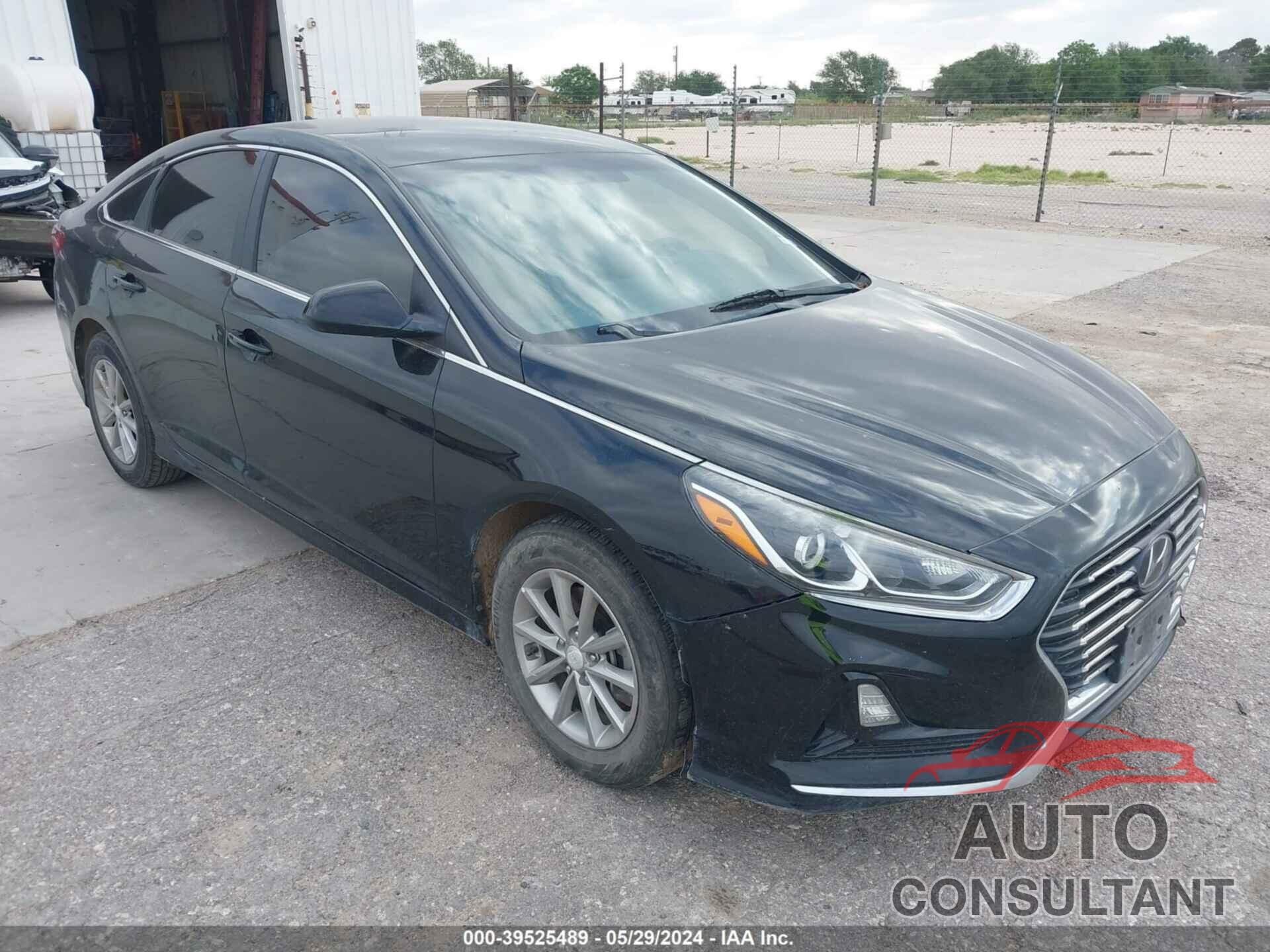 HYUNDAI SONATA 2019 - 5NPE24AF2KH790921