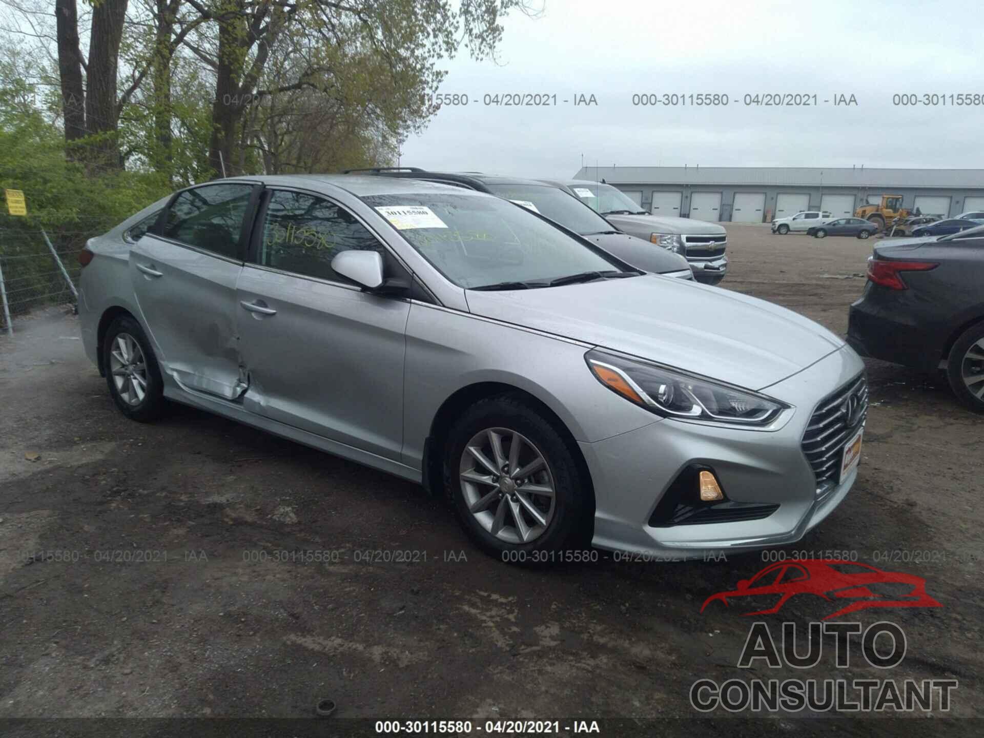 HYUNDAI SONATA 2019 - 5NPE24AF0KH730006