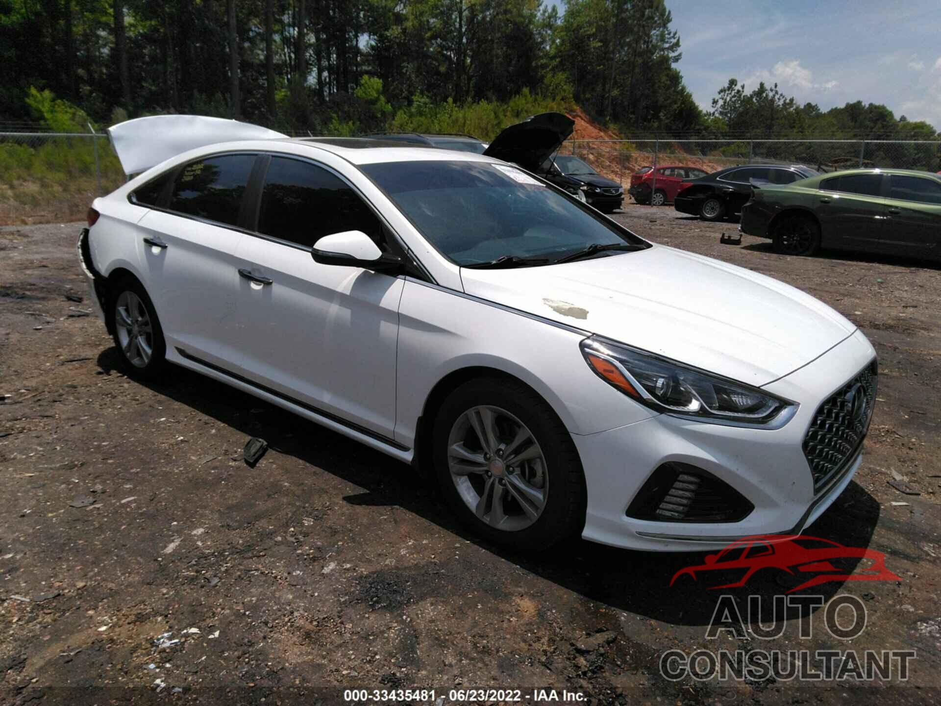 HYUNDAI SONATA 2019 - 5NPE34AF5KH773107